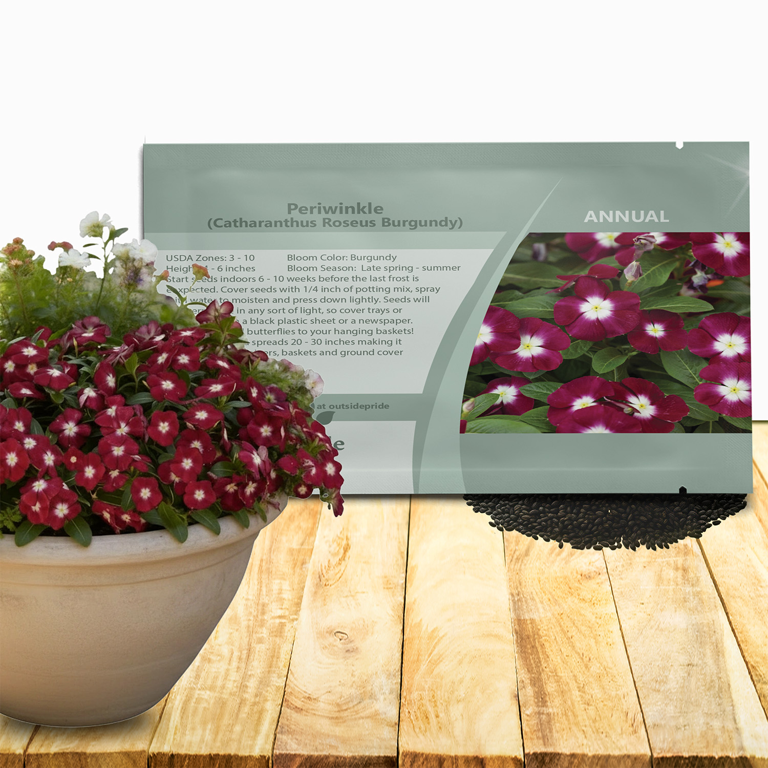 Periwinkle Burgundy Seed Packets