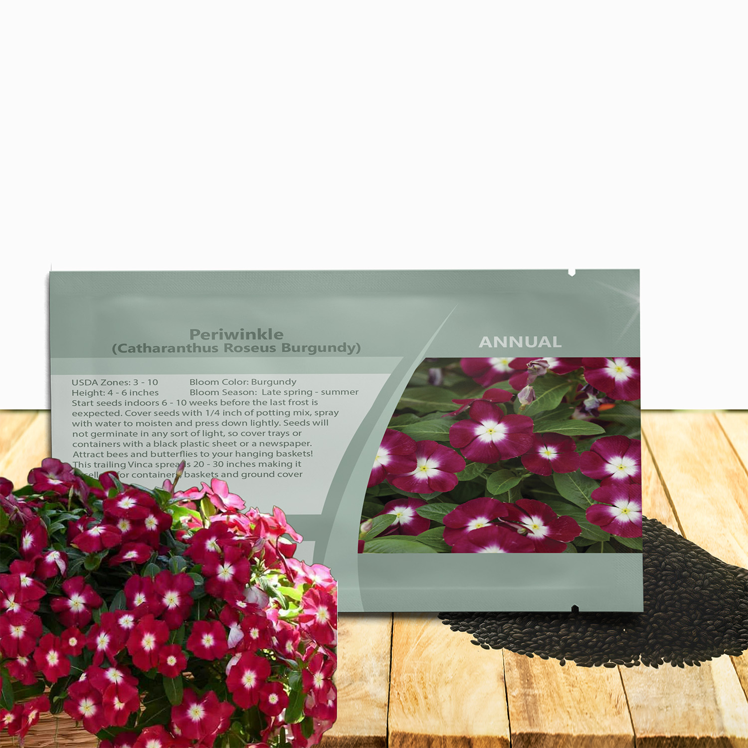 Periwinkle Burgundy Seed Packets