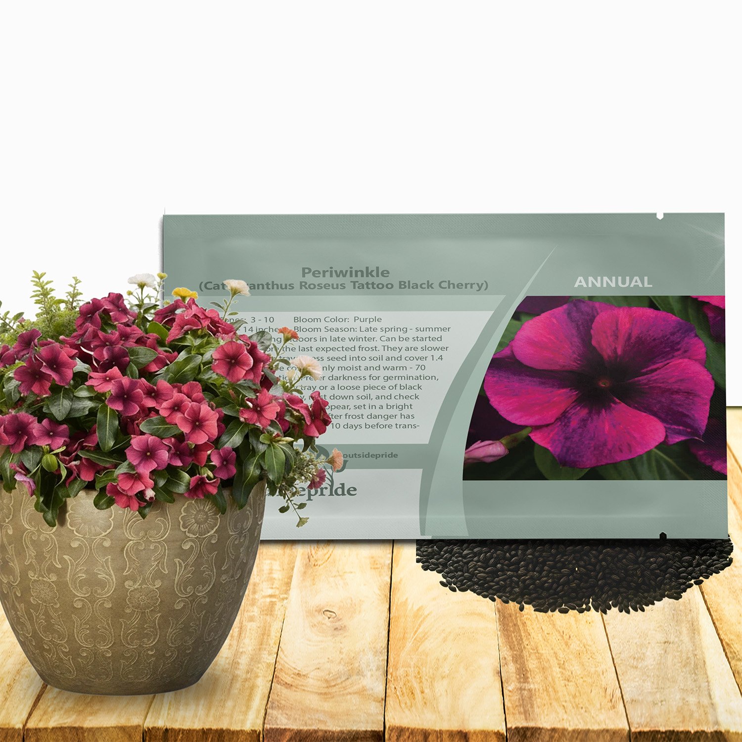 Vinca Black Cherry Seed Packet