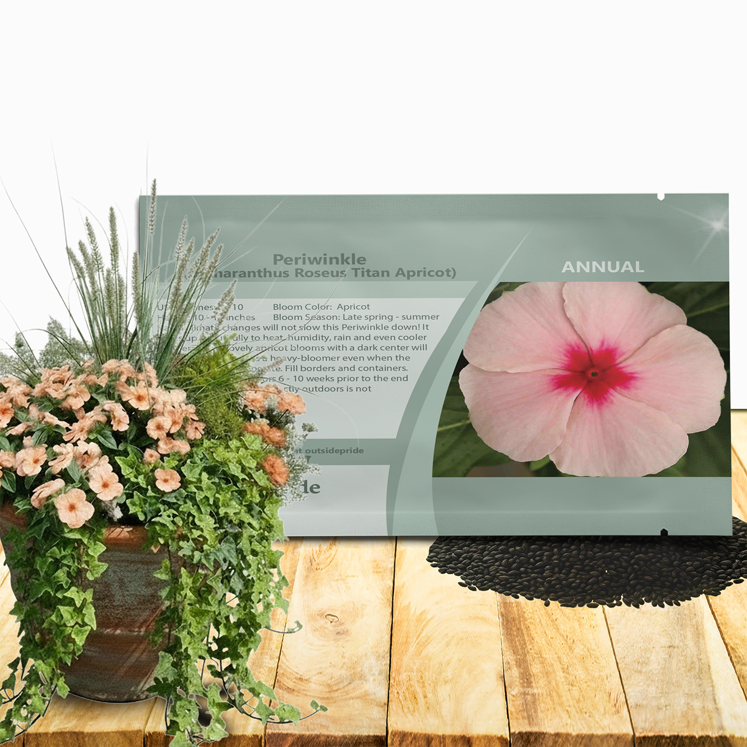 Vinca Titan Apricot Seed Packet