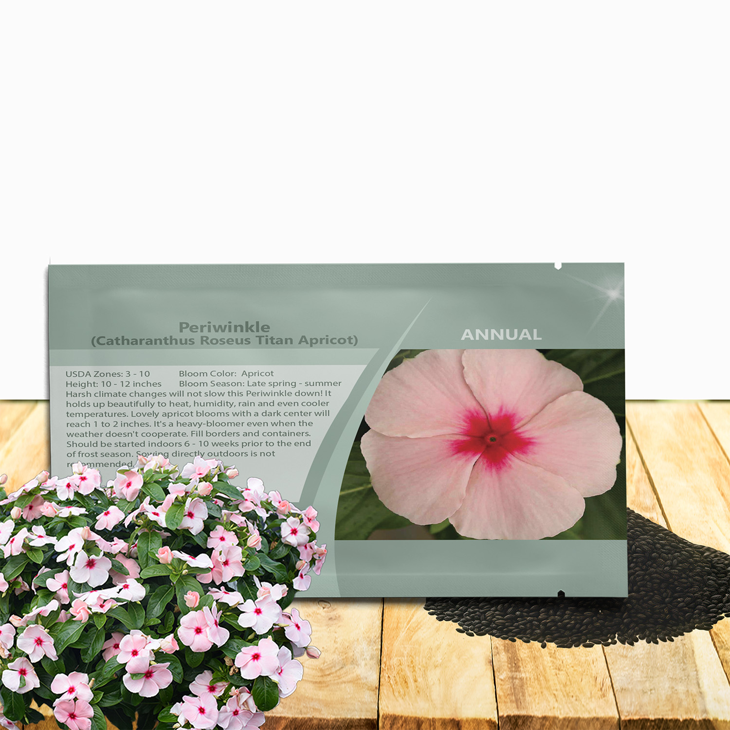 Vinca Titan Apricot Seed Packet