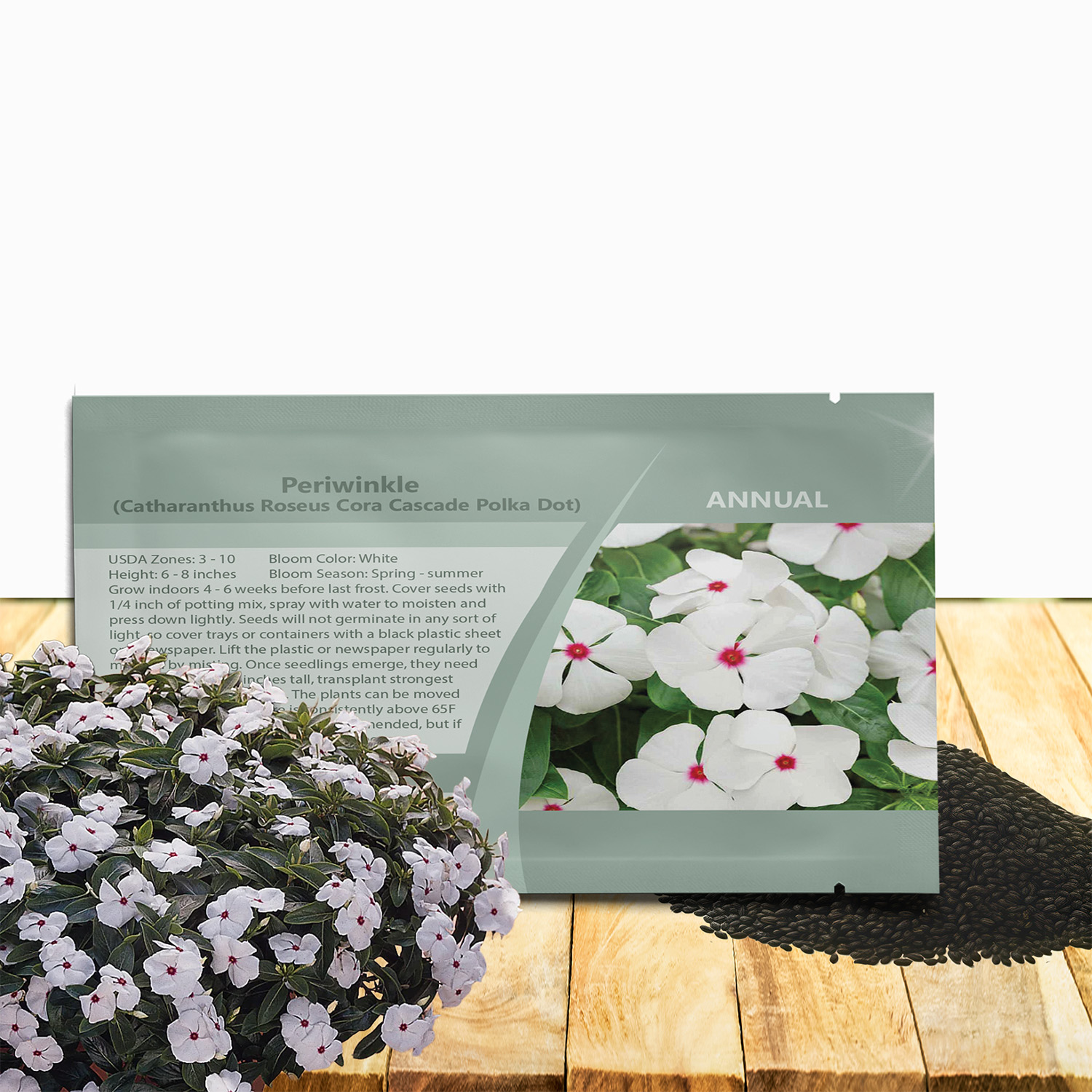 Vinca Cora Cascade Polka Dot Seed Packet