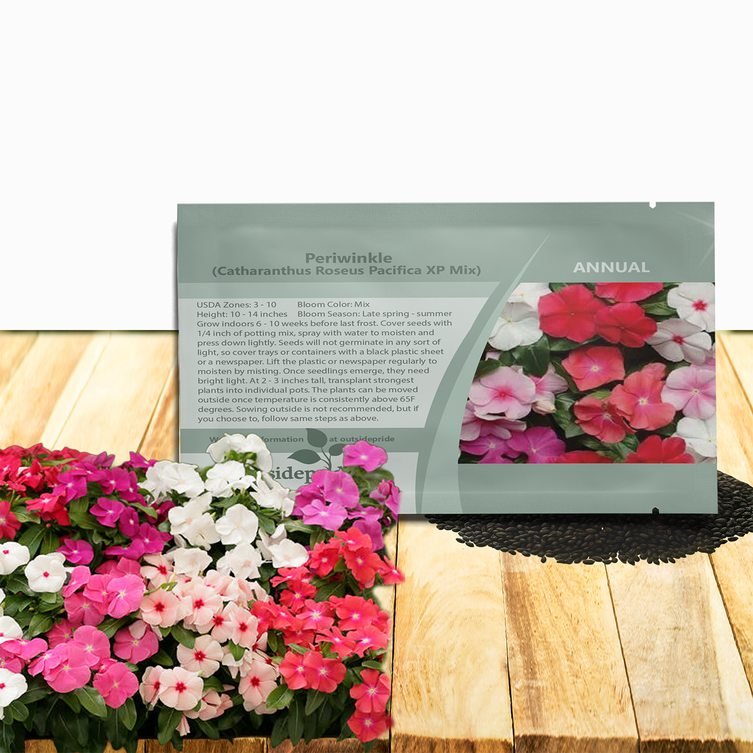 Perwinkle Pacifica XP Seed Packet