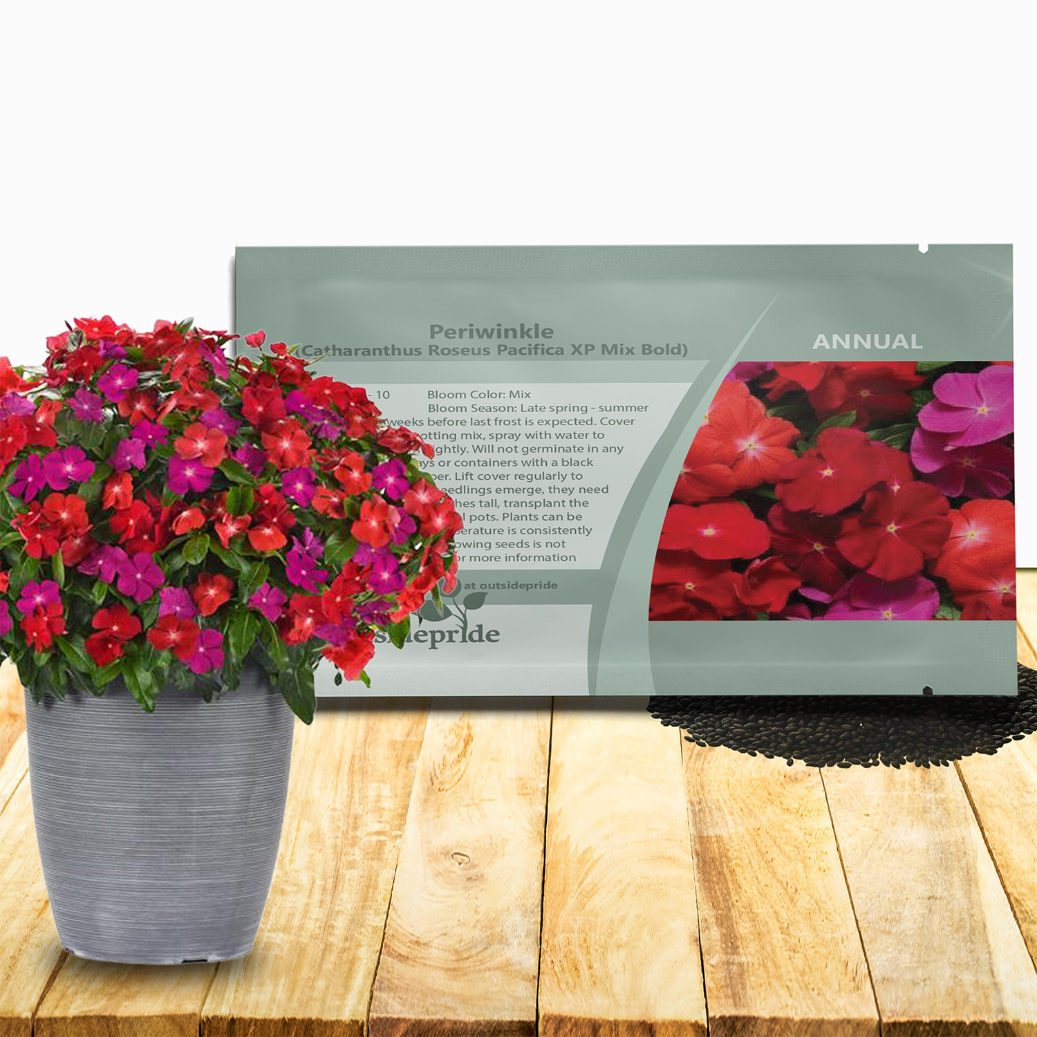 Vinca Pacifica XP Mix Bold Seed Packet