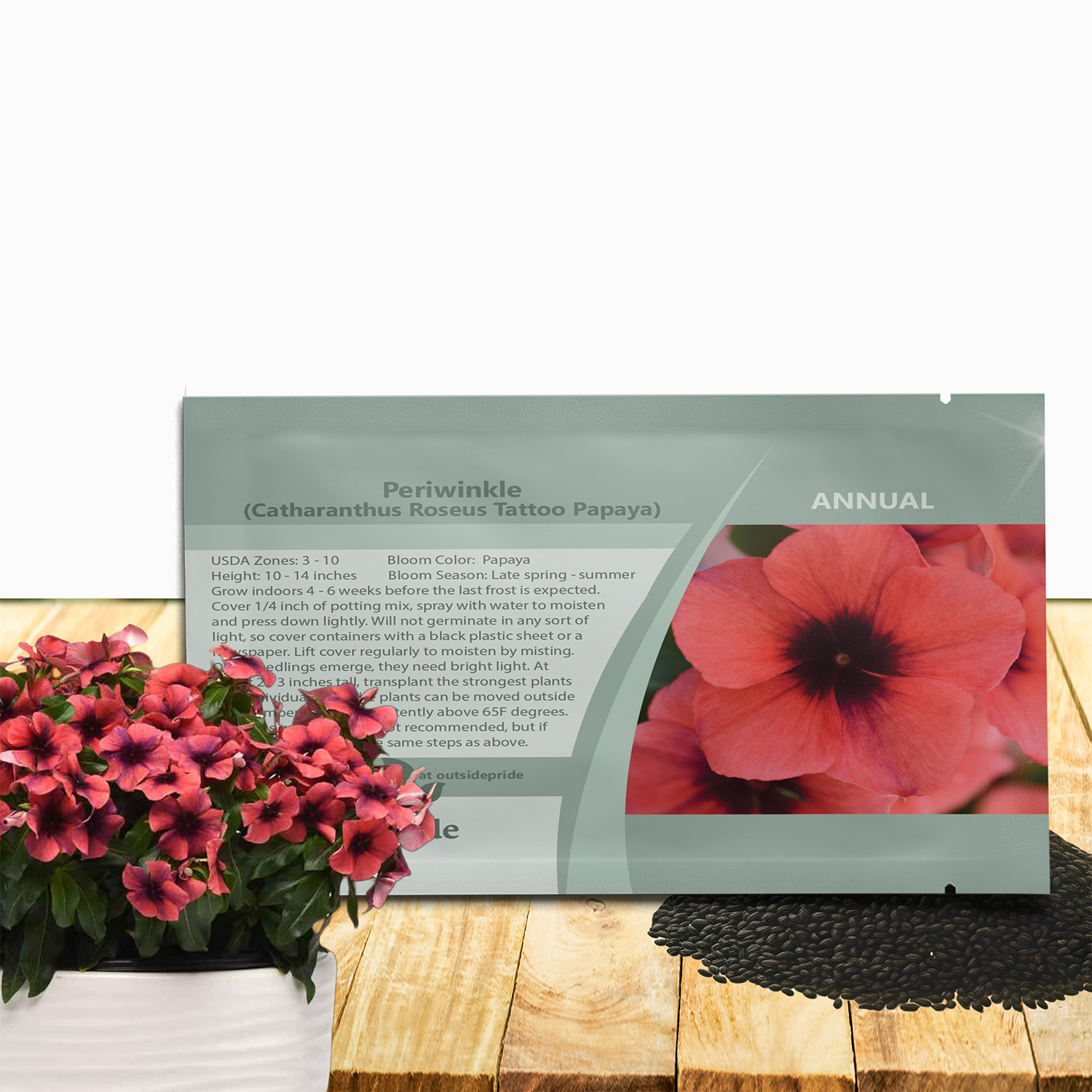 Vinca Papaya Ground Cover Seed Packet