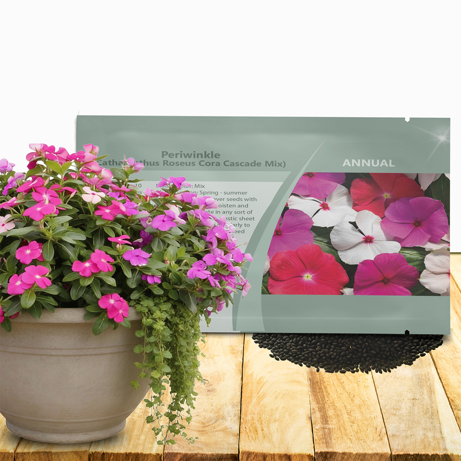 Vinca Titan Seed Bubble Gum Seed Packet
