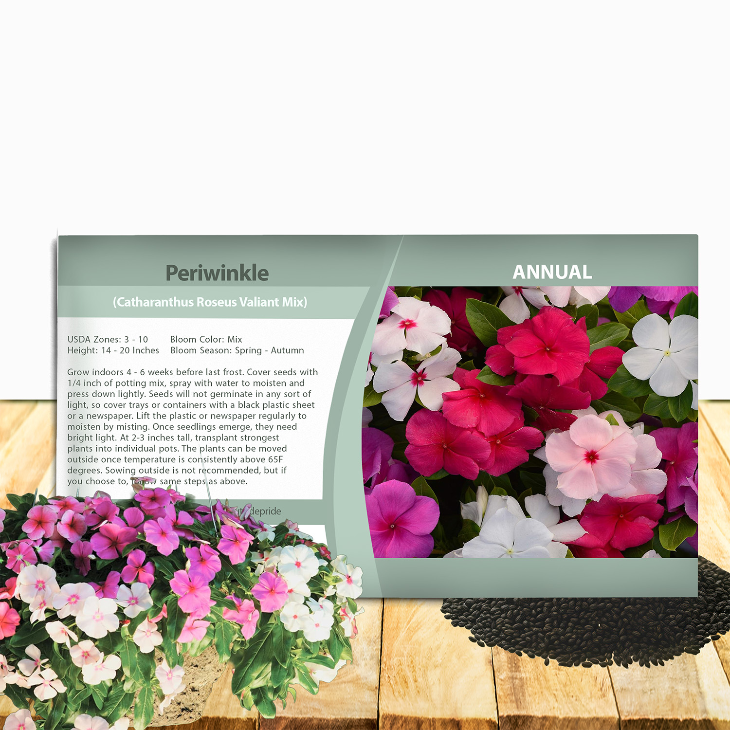 Vinca Valiant Seed Packet Mix