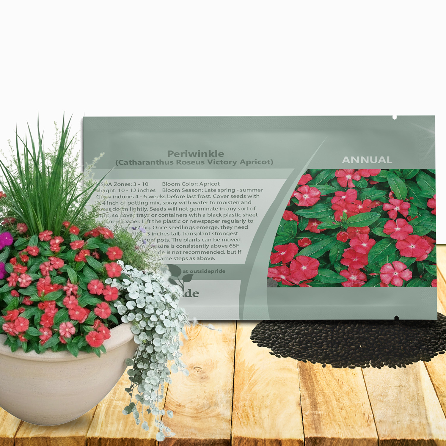 Periwinkle Victory Apricot Seed Packet