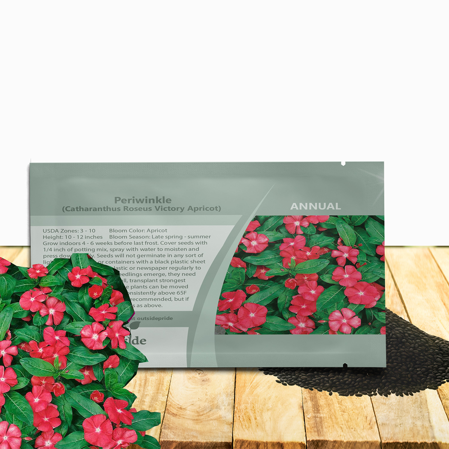 Periwinkle Victory Apricot Seed Packet