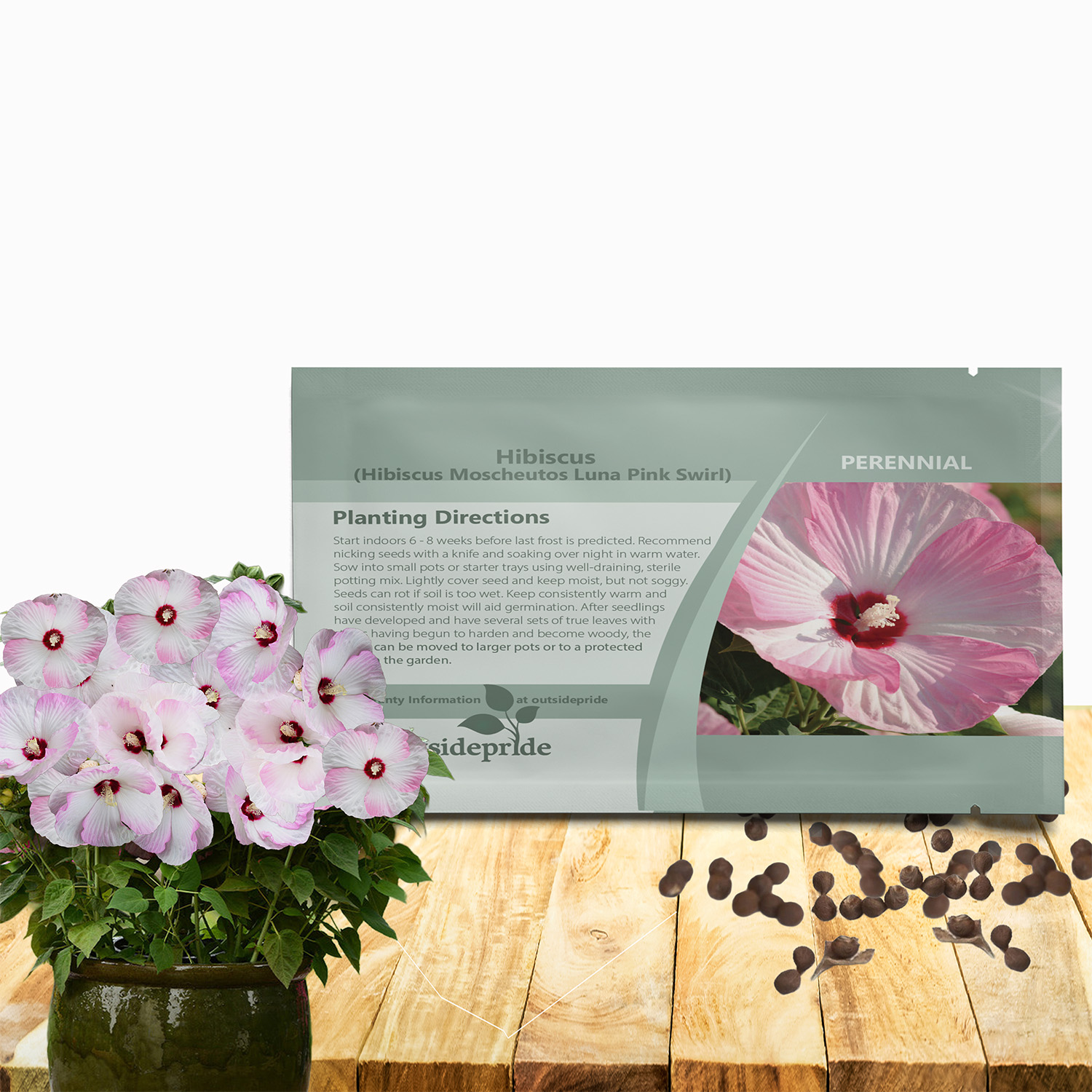 Hibiscus Pink Swirl Seed Packet