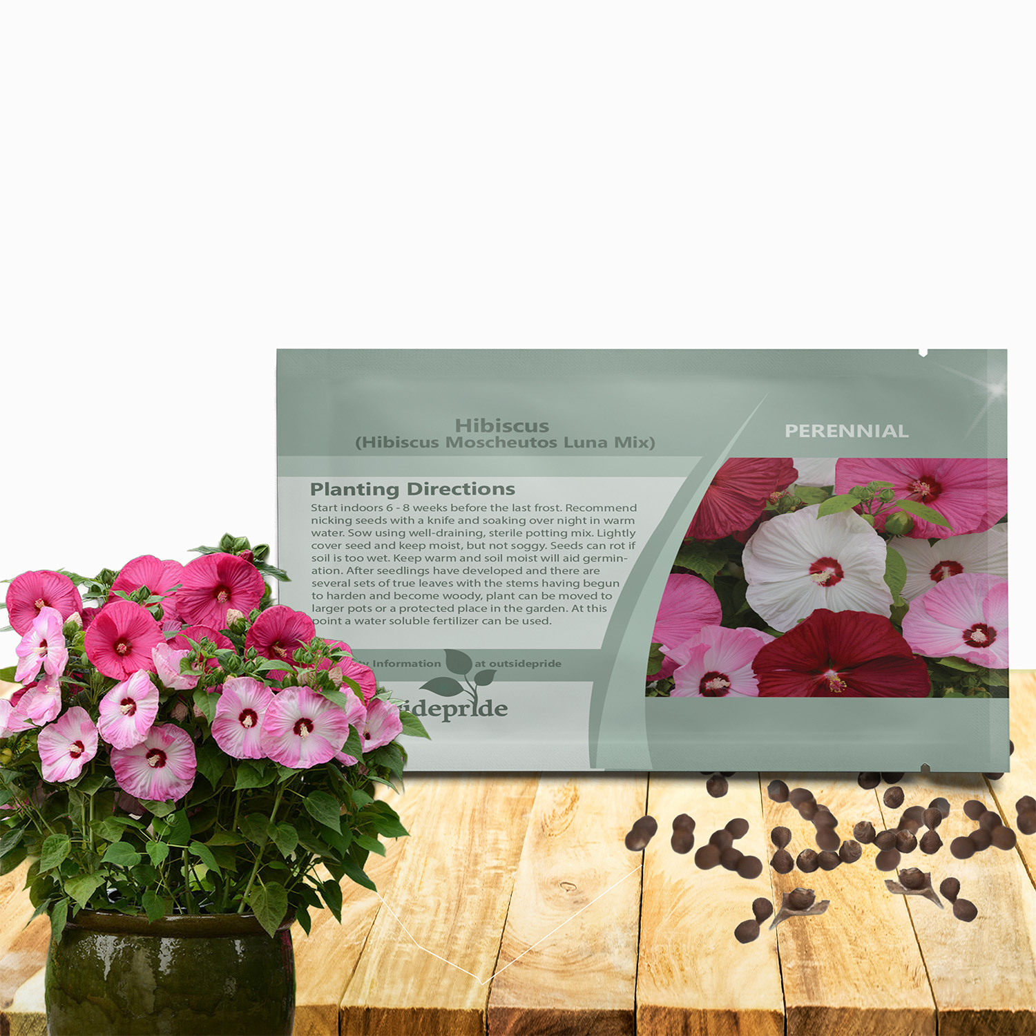 Hibiscus Luna Flower Seed For Planting