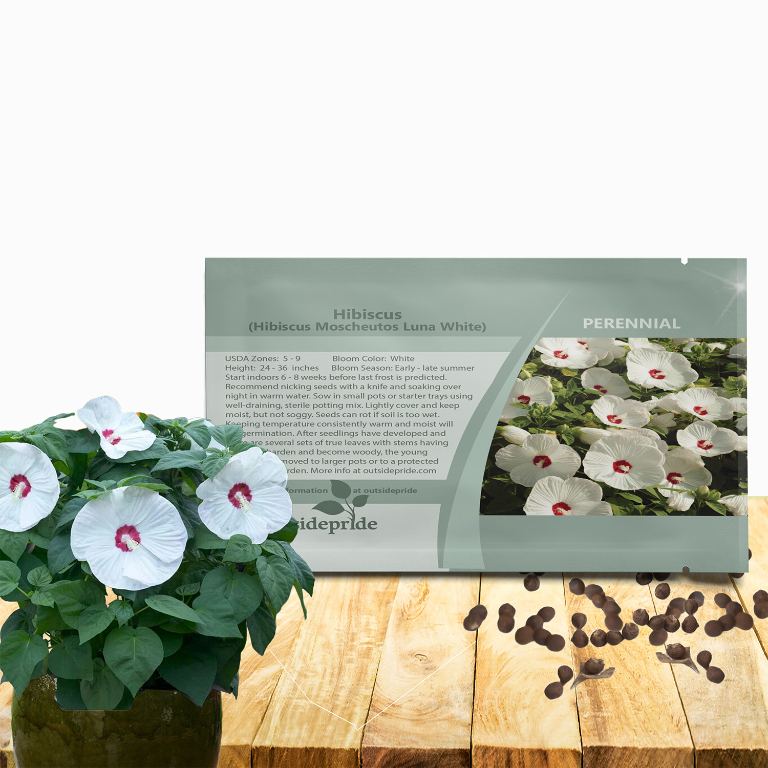Hibiscus Luna White Flower Seed Packet For Planting