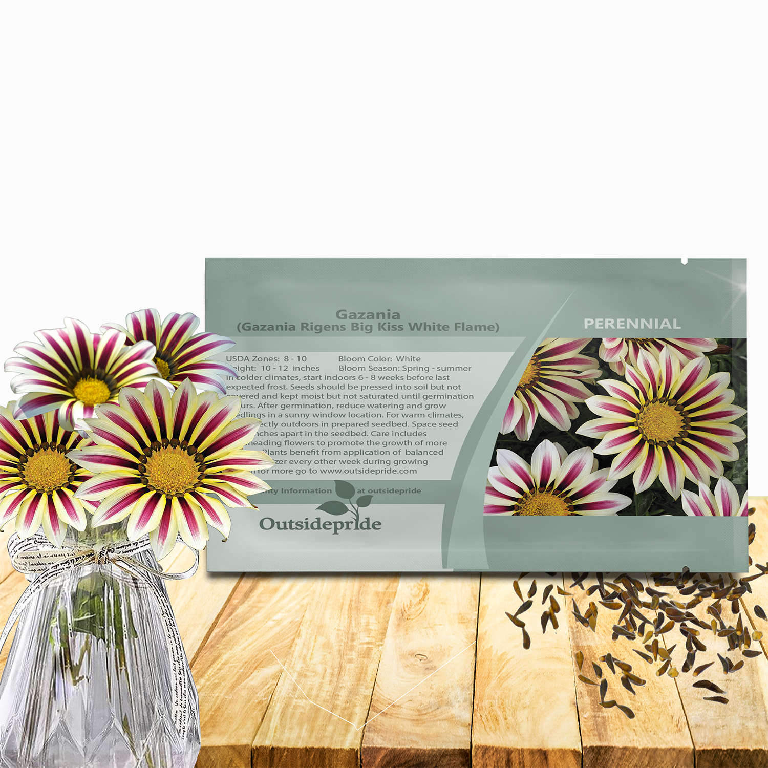 Gazania Big Kiss White Flame Seed Packet For Planting