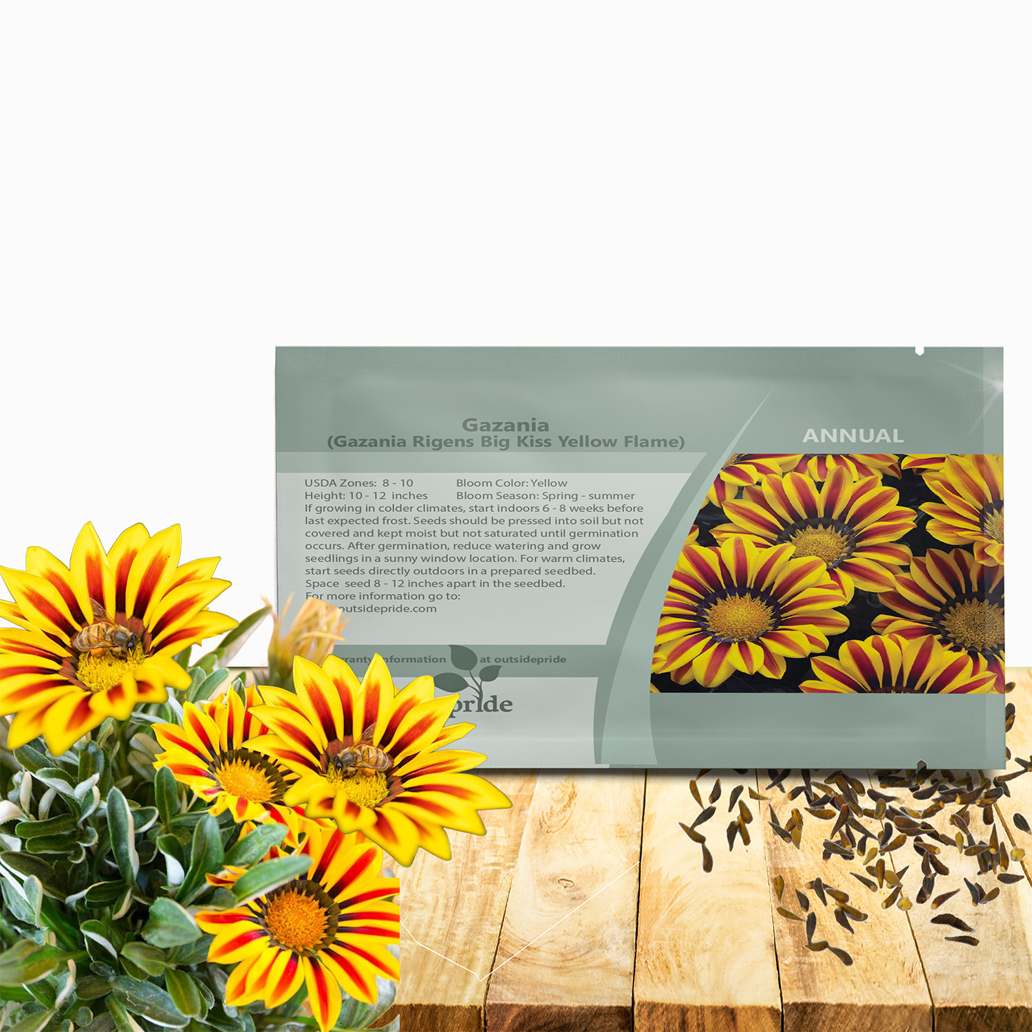 Gazania Big Kiss Yellow Flame Seed Packet For Planting