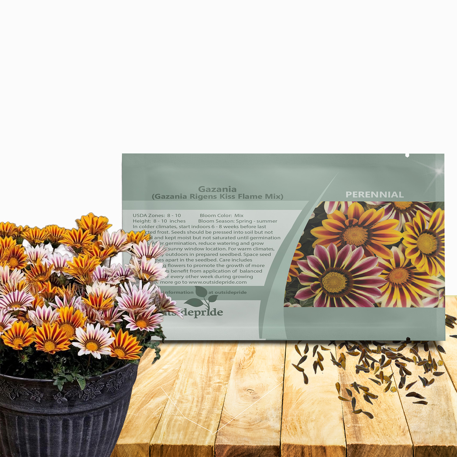 Gazania Kiss Flame Seed Packet Mix