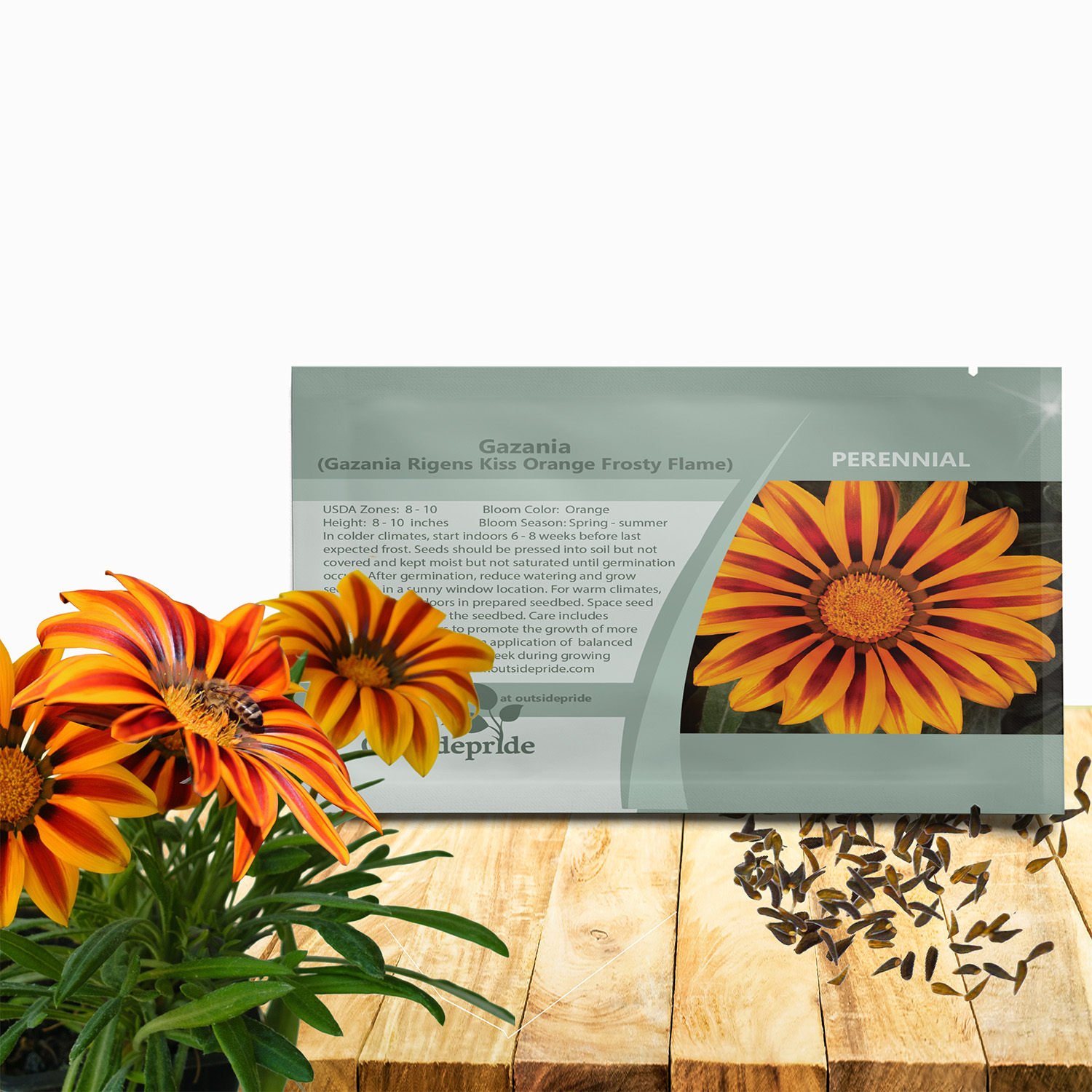 Gazania Kiss Orange Flame Seed Packet For Planting