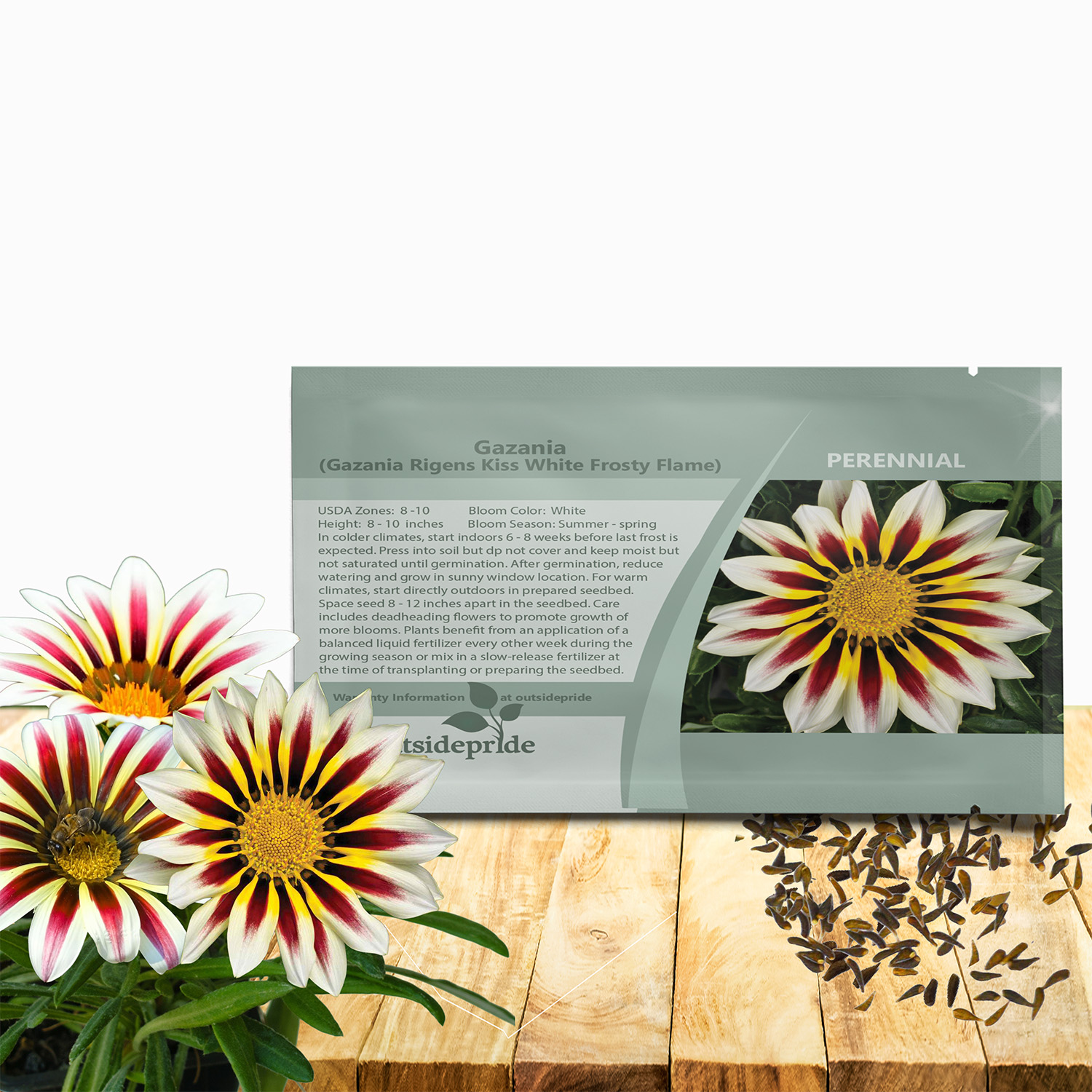 Gazania Kiss White Frosty Flame Seed Packet For Planting