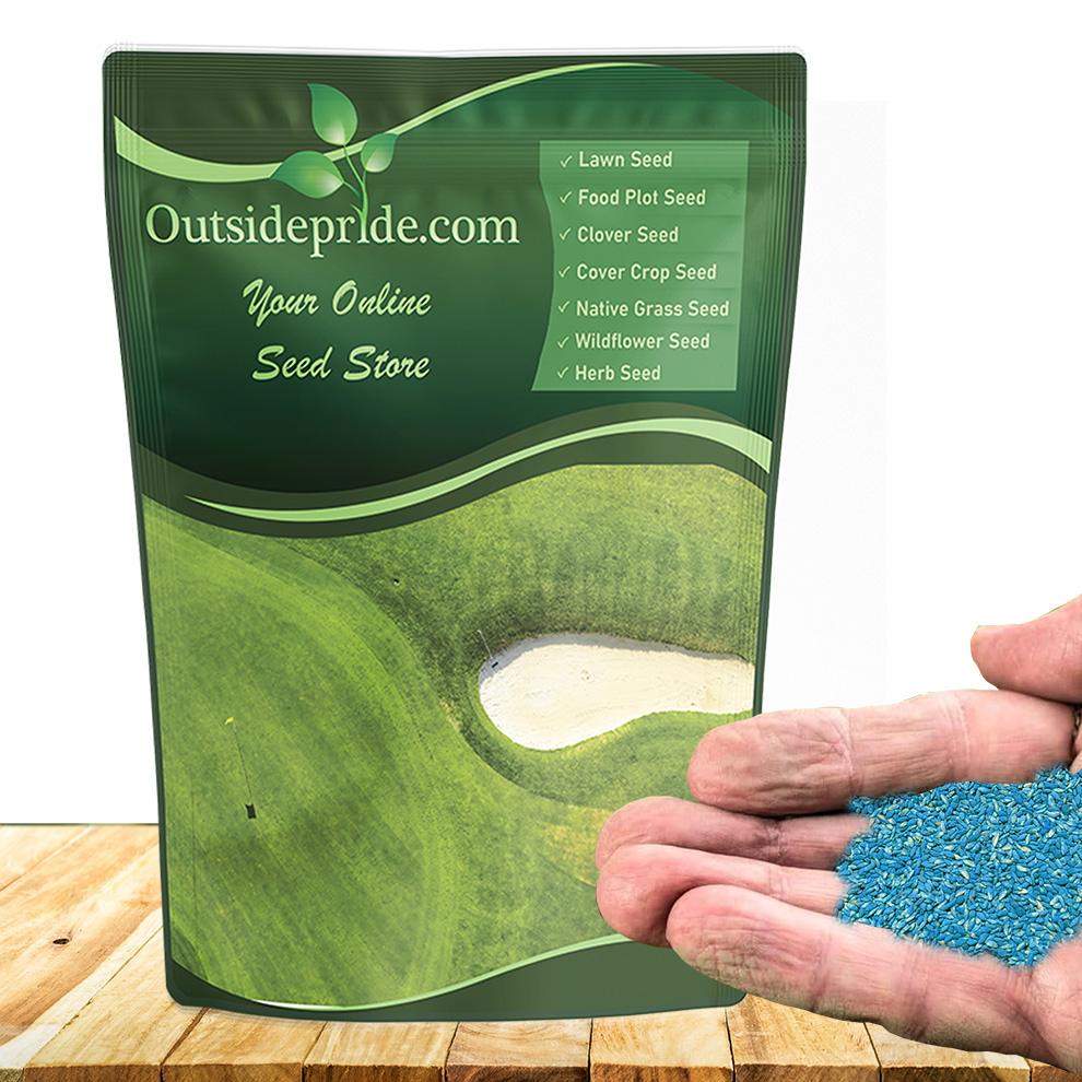 Oasis Bermuda Seed Bag