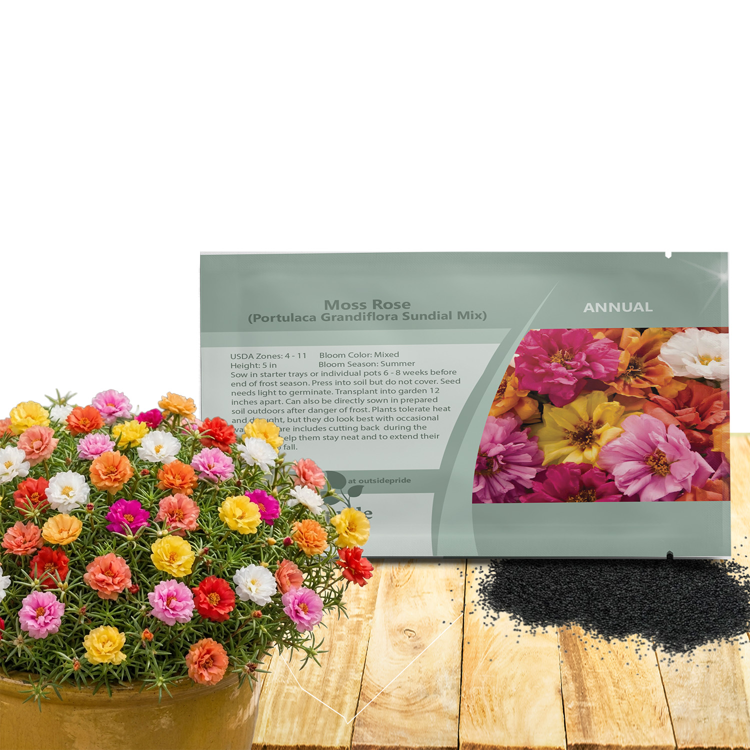 Portulaca Sundial Seed Packet