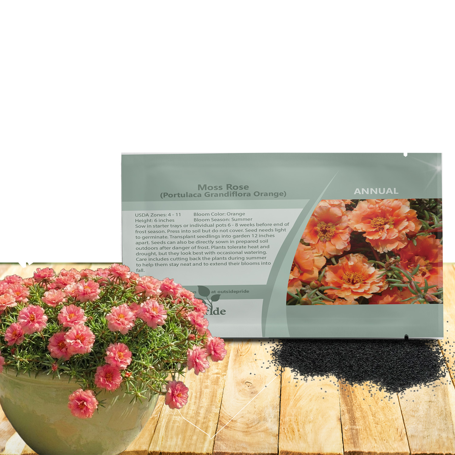 Portulaca Sundial Peach Ground Cover