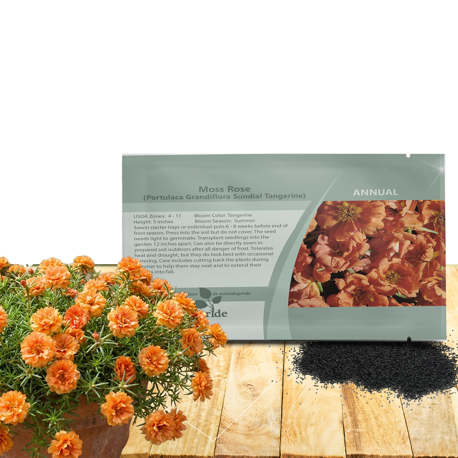 Portulaca Sundial Tangerine Seed Packet