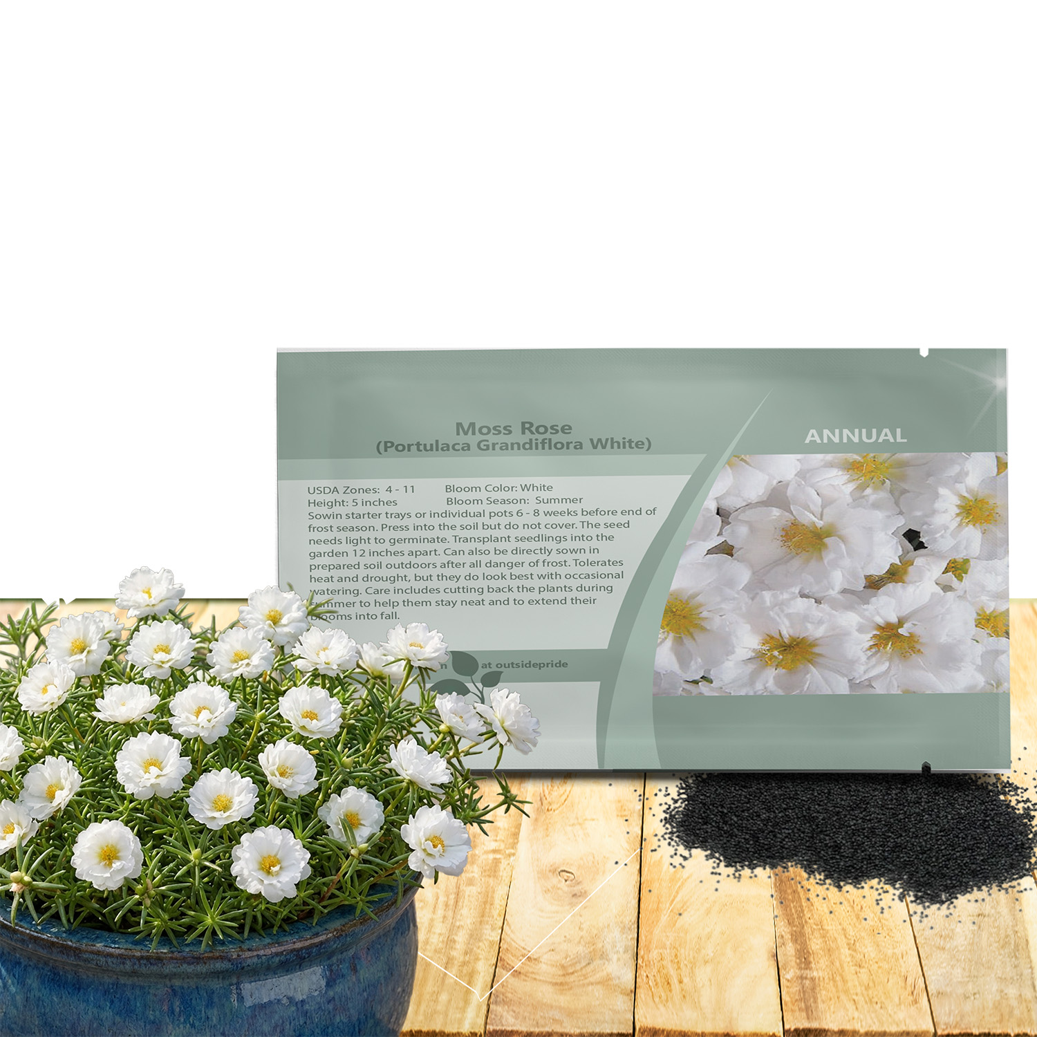 Portulaca Sundial White Seed Packet