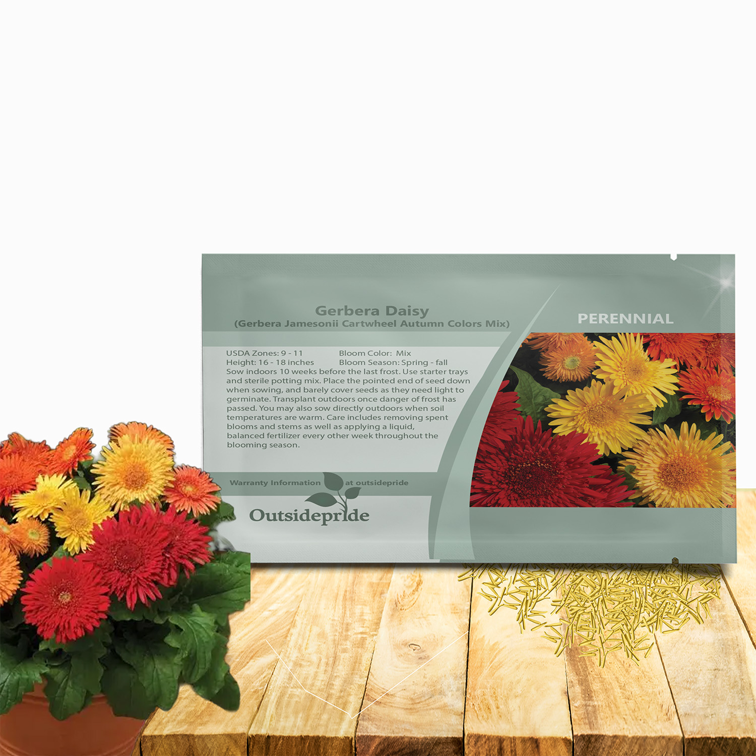 Gerbera Cartwheel Autumn Colors Seed Packet