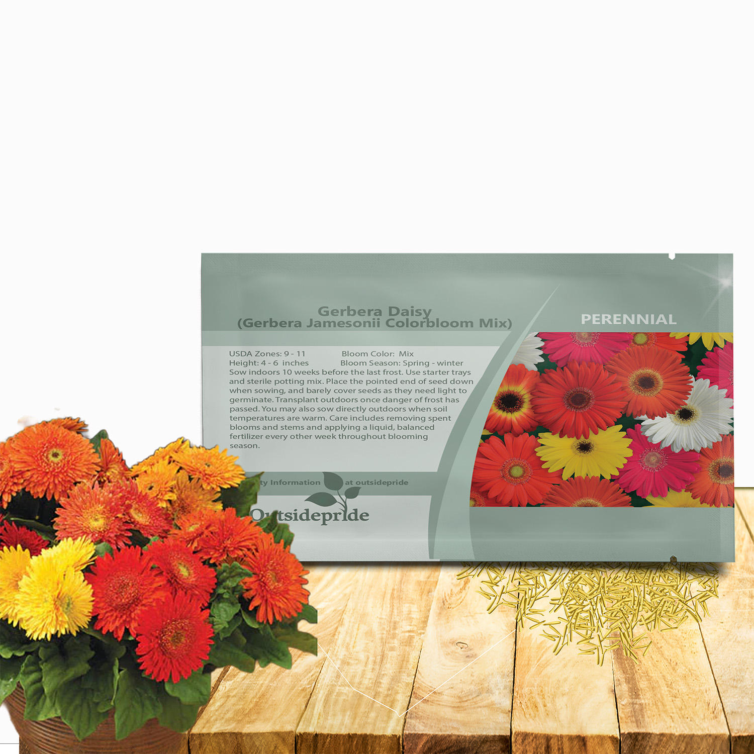 Gerbera Daisy Colorbloom Flower Seed Packet