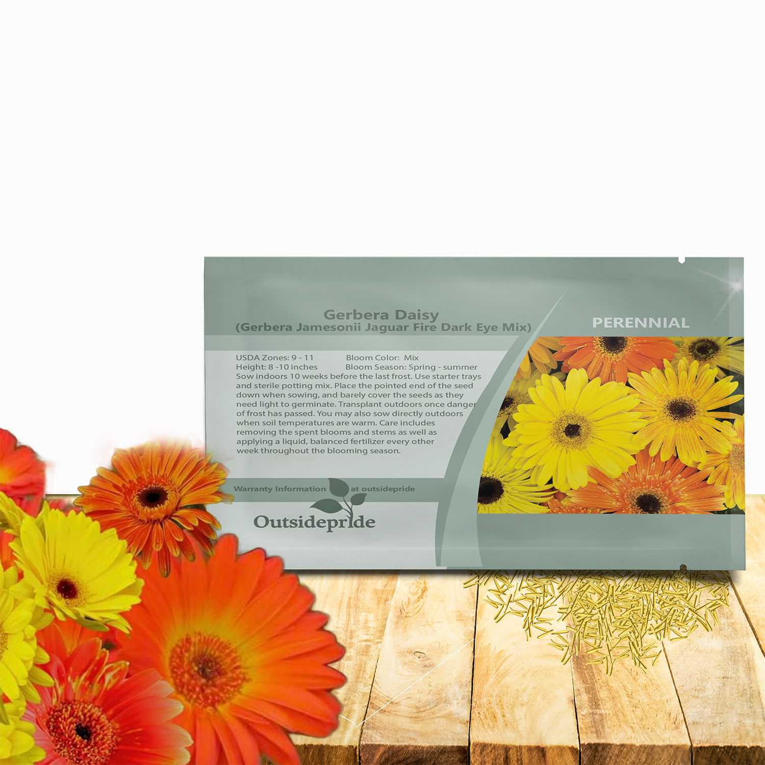 Gerbera Jaguar Fire Dark Eye Seed For Planting