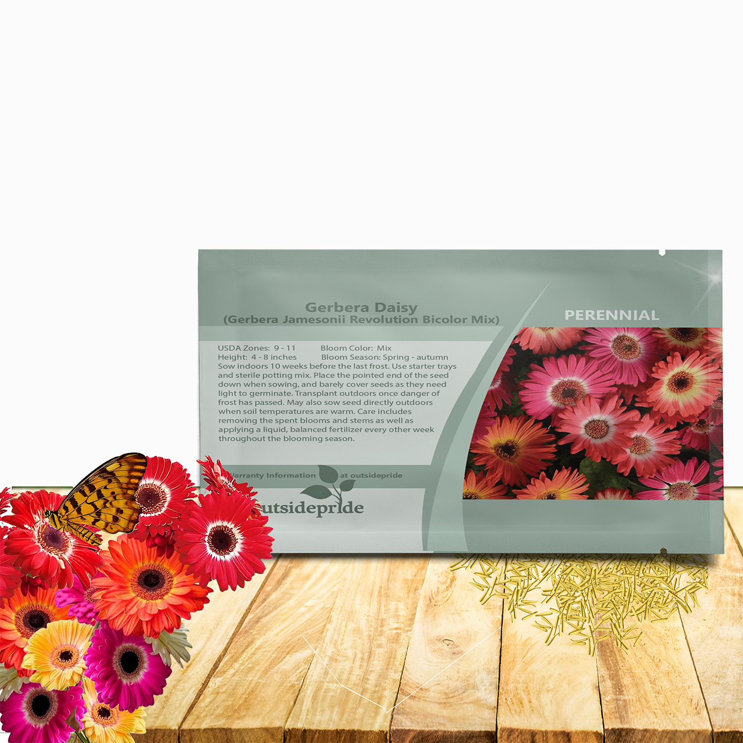 Gerbera Revolution Bicolor Seed For Planting