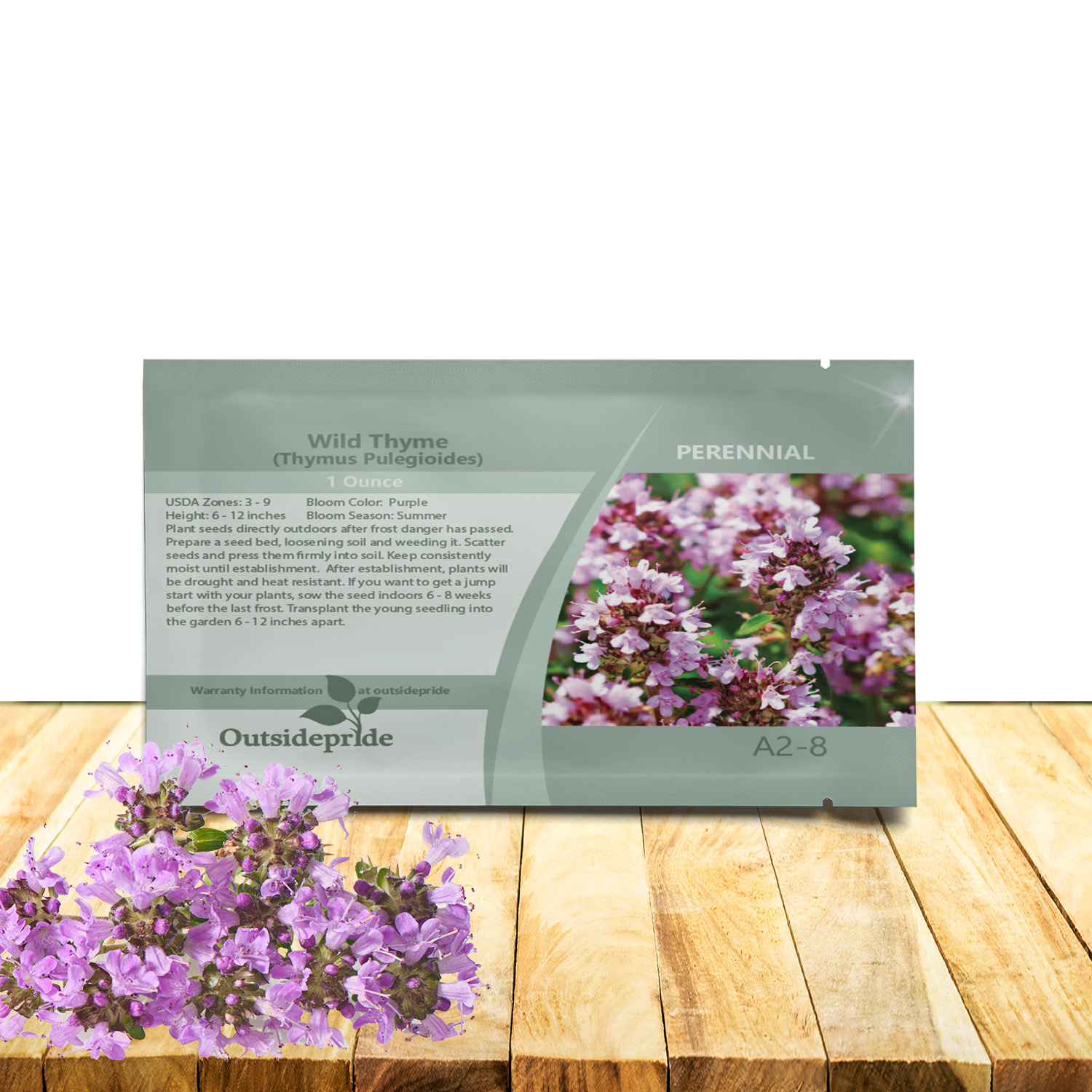Wild Thyme Dwarf Flowering Plants