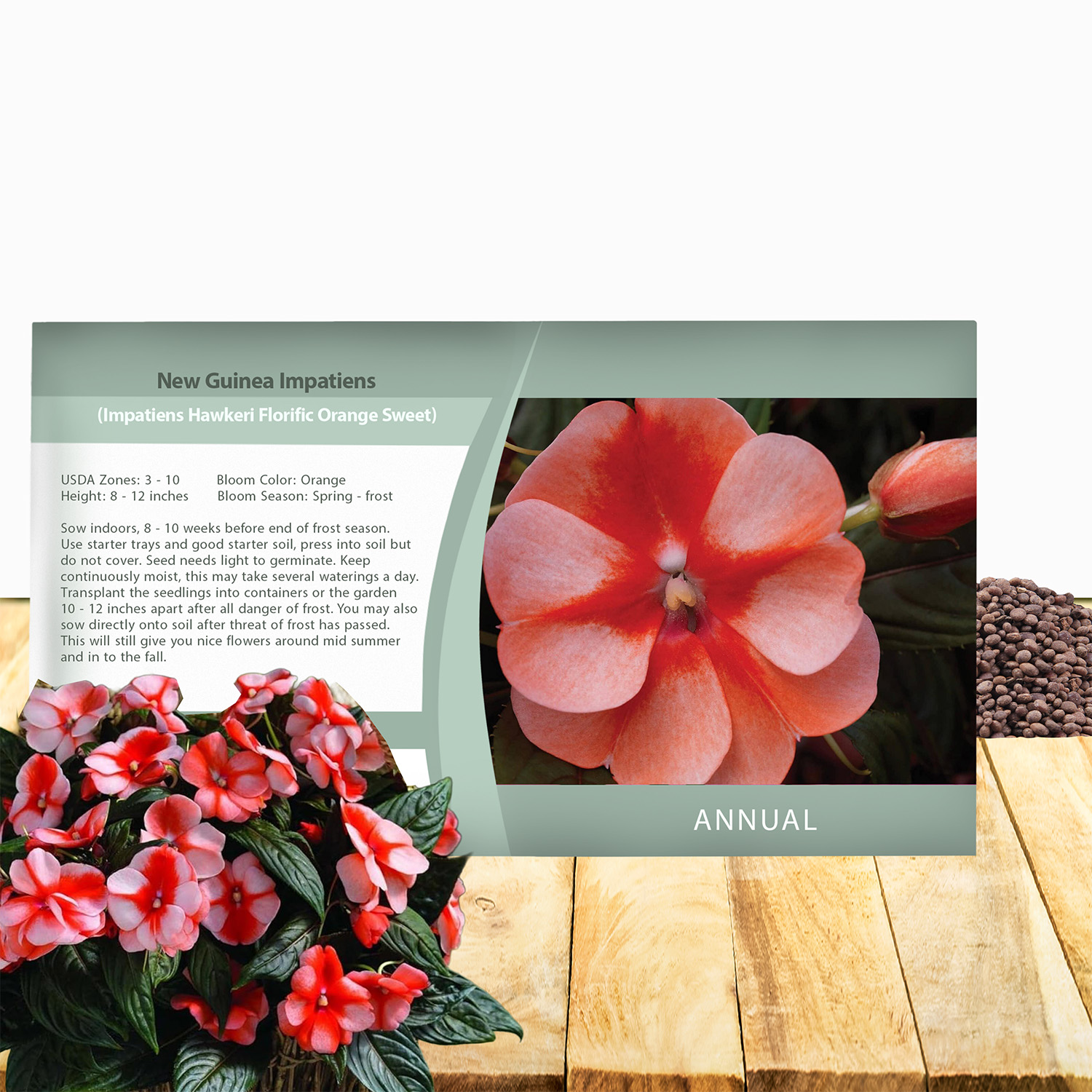 New Guinea Impatiens Orange Sweet Seed Packet