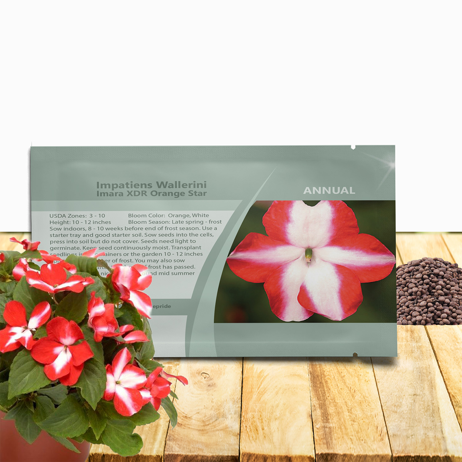 Impatiens Imara XDR Orange Star Seed Packet