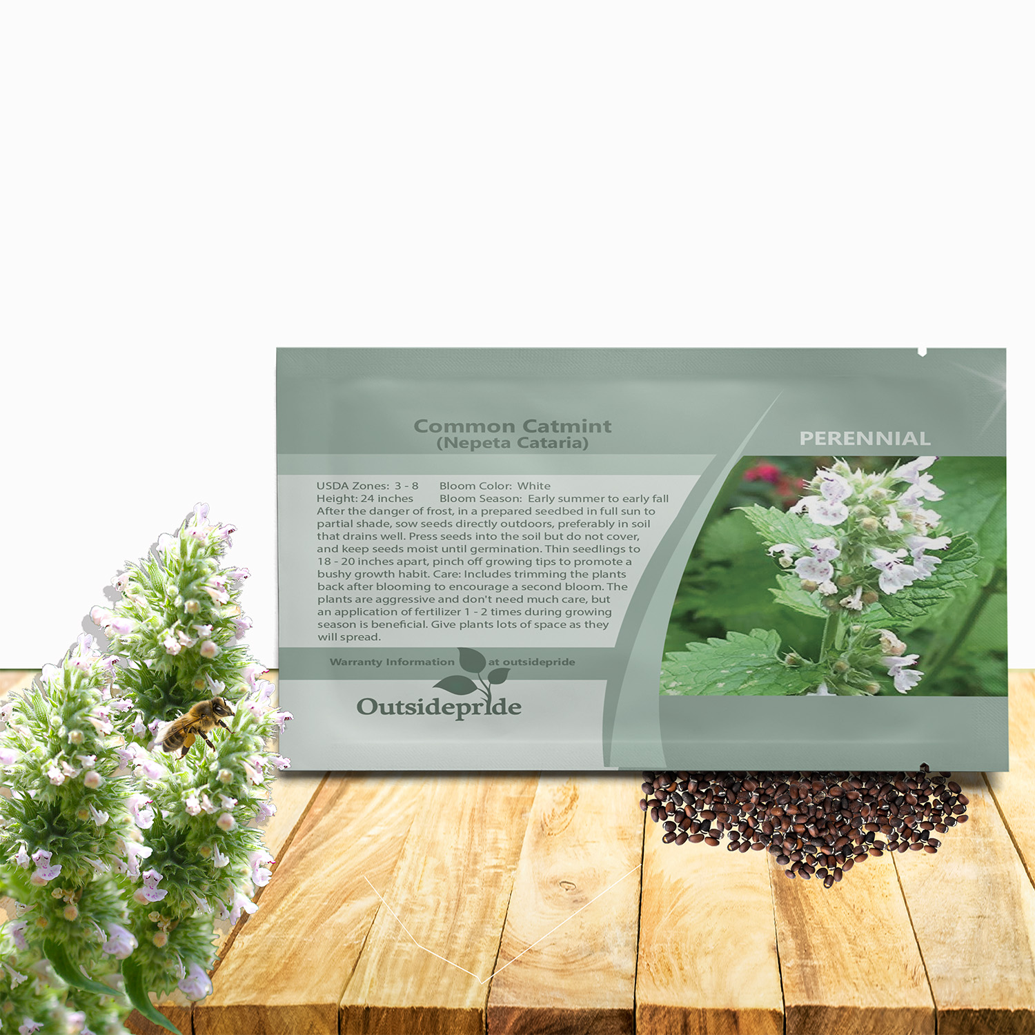 Common Catmint Herb Seed Packet
