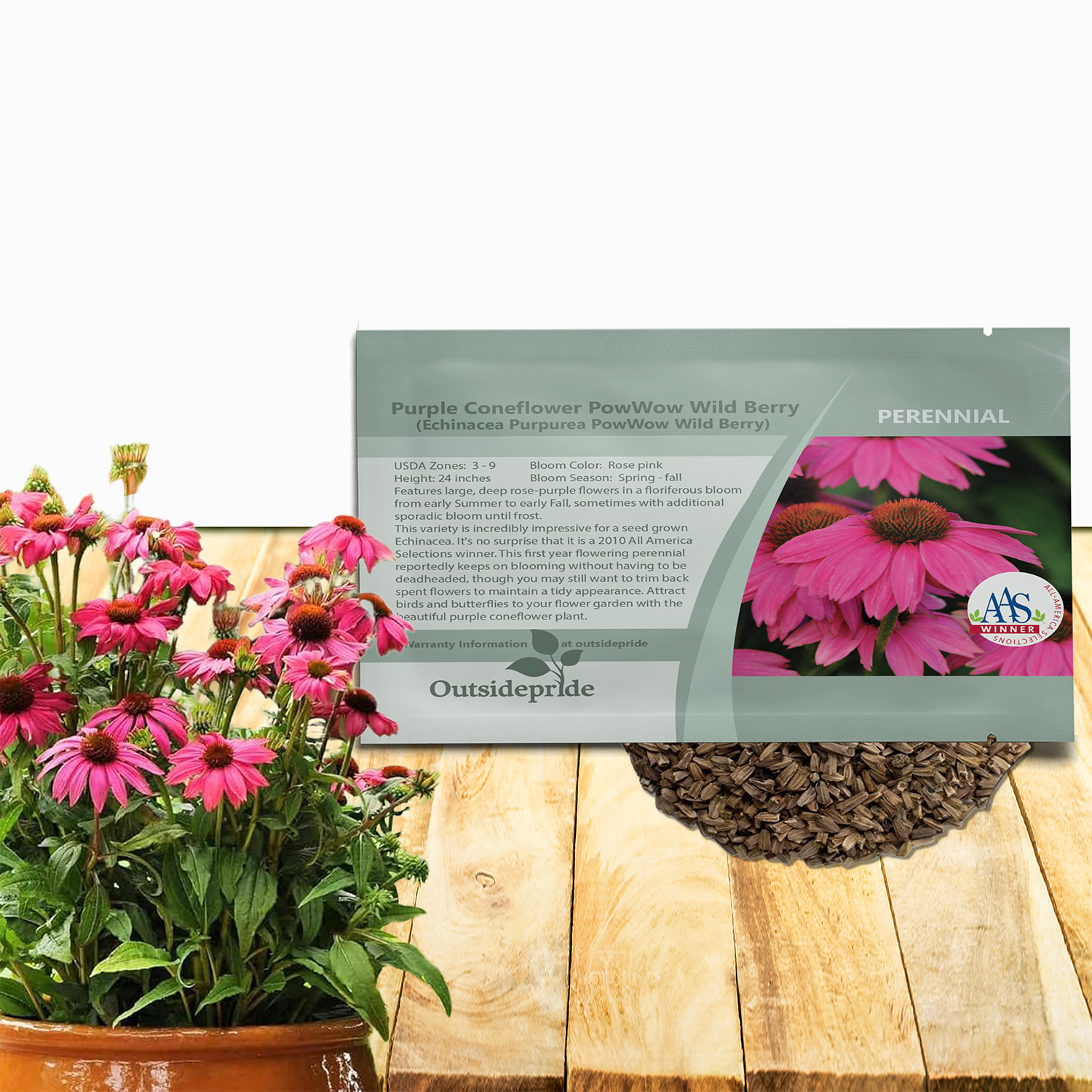 Echinacea Purpurea PowWow Seed Packet