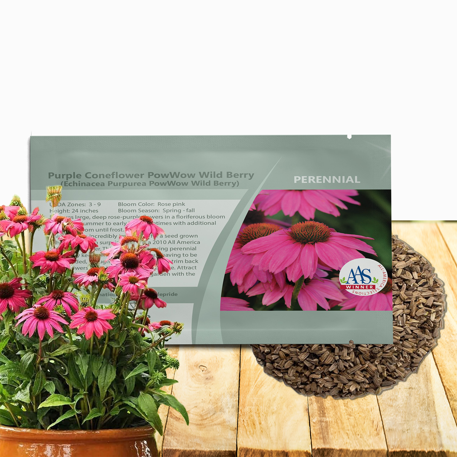 Echinacea Purpurea PowWow Seed Packet