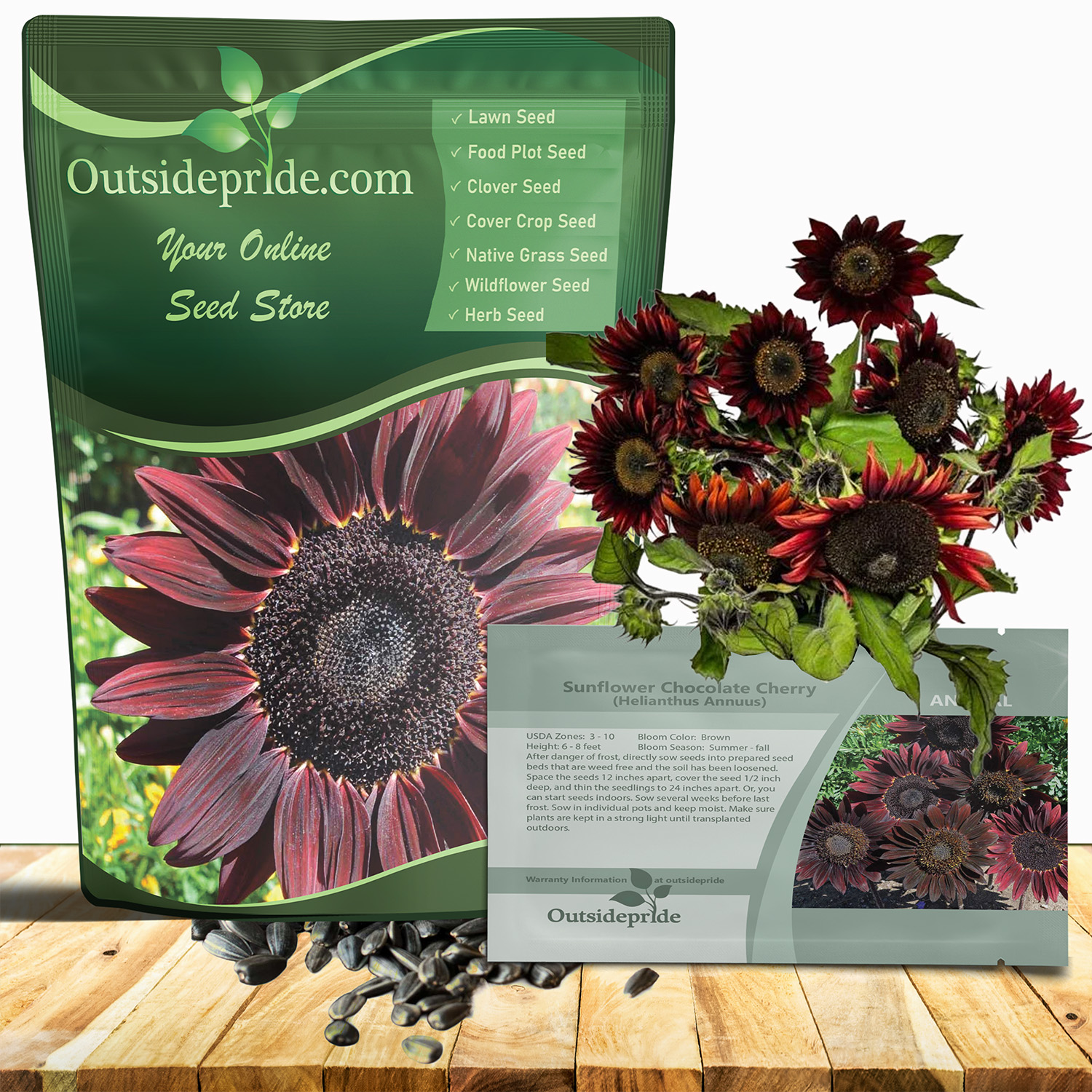 Helianthus Annuus Chocolate Cherry Seeds For Planting