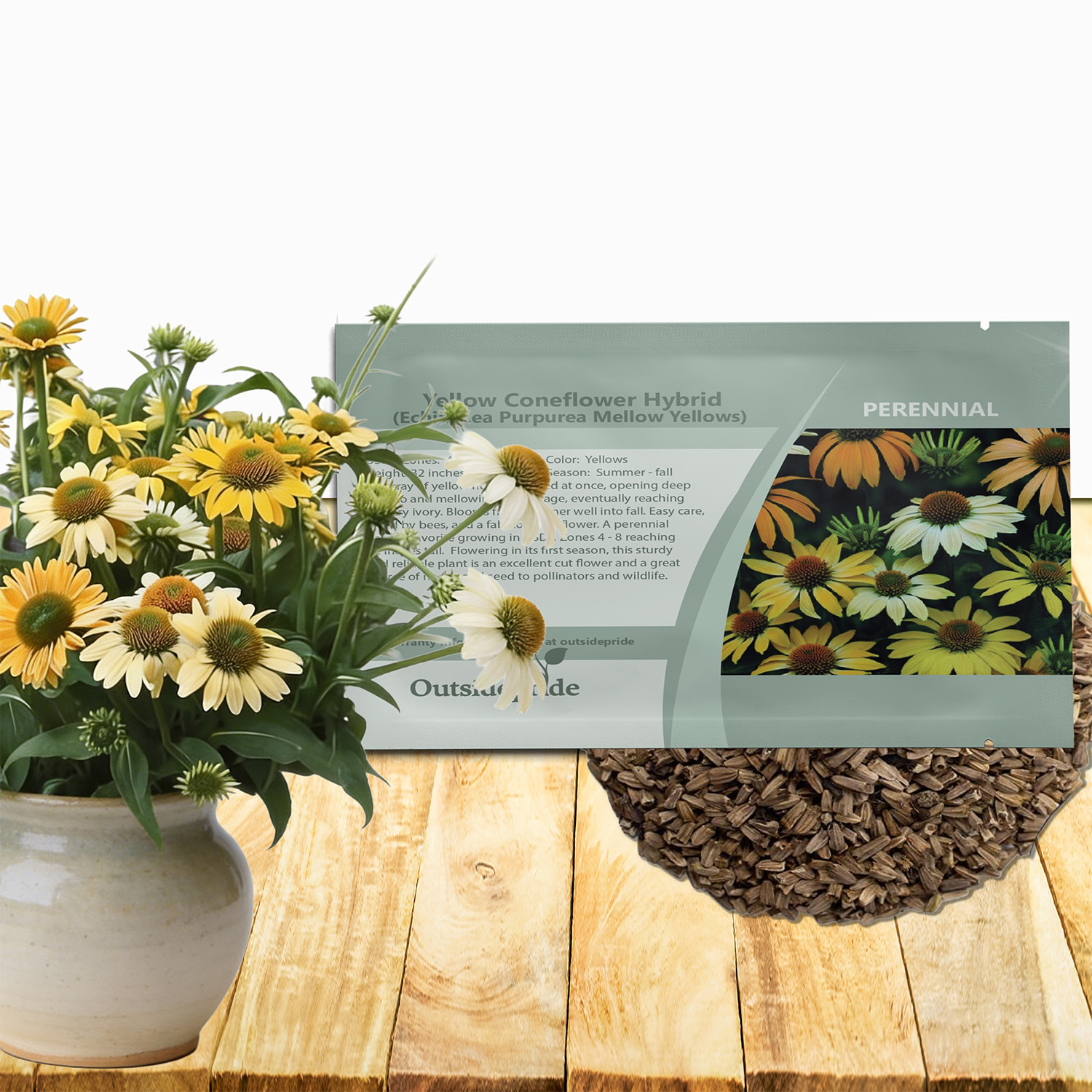 Coneflower Mellow Yellows Seed Packet