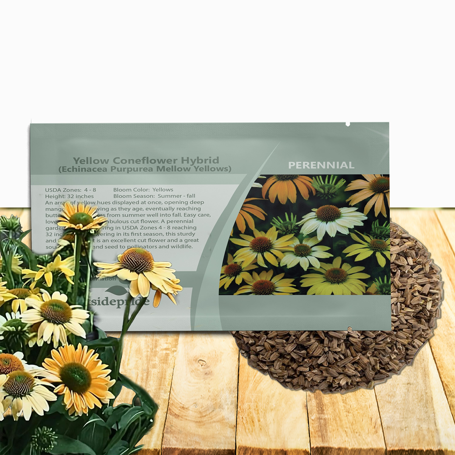 Coneflower Mellow Yellows Seed Packet