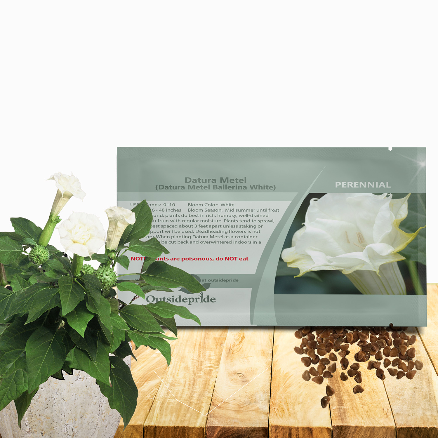 Datura Metal White Seed Packet For Planting