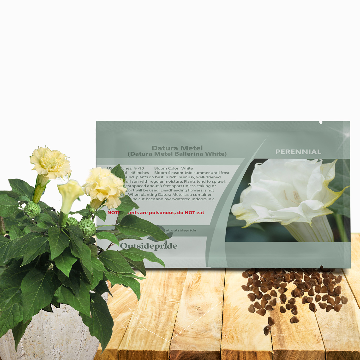 Datura Metal Yellow Seed Packet For Planting