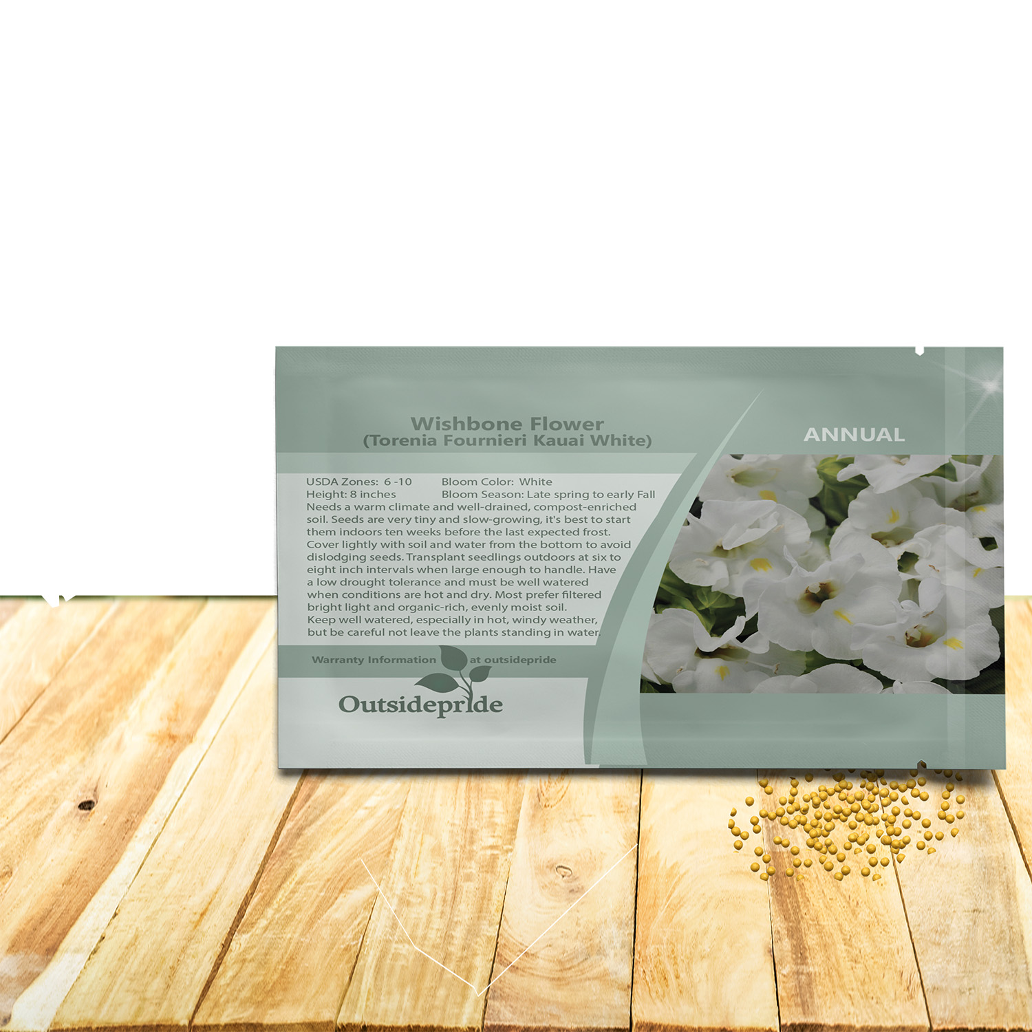 Torenia Seeds For Planting White Wishbone Garden Flowers