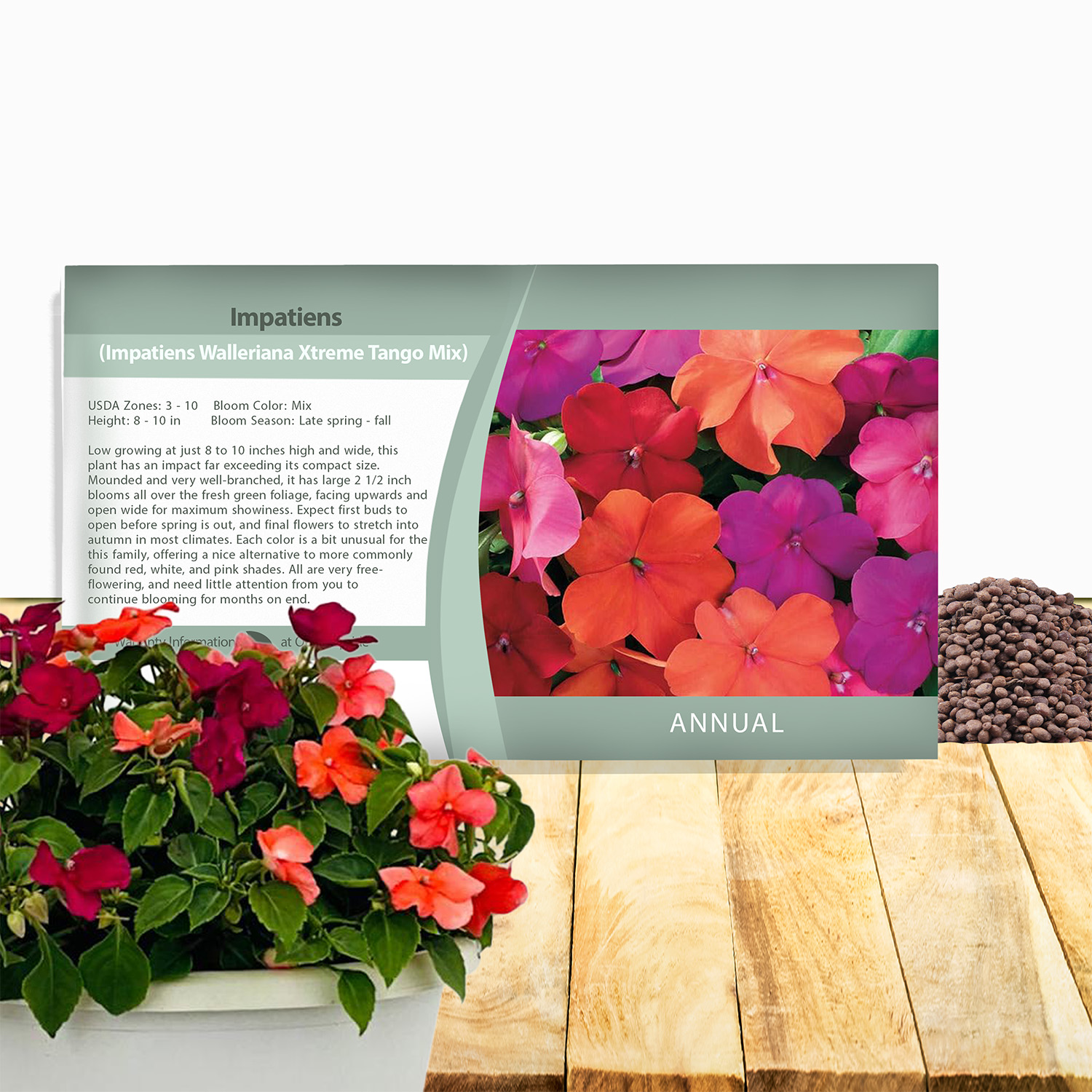 Impatiens Tango Flower Seed Packet