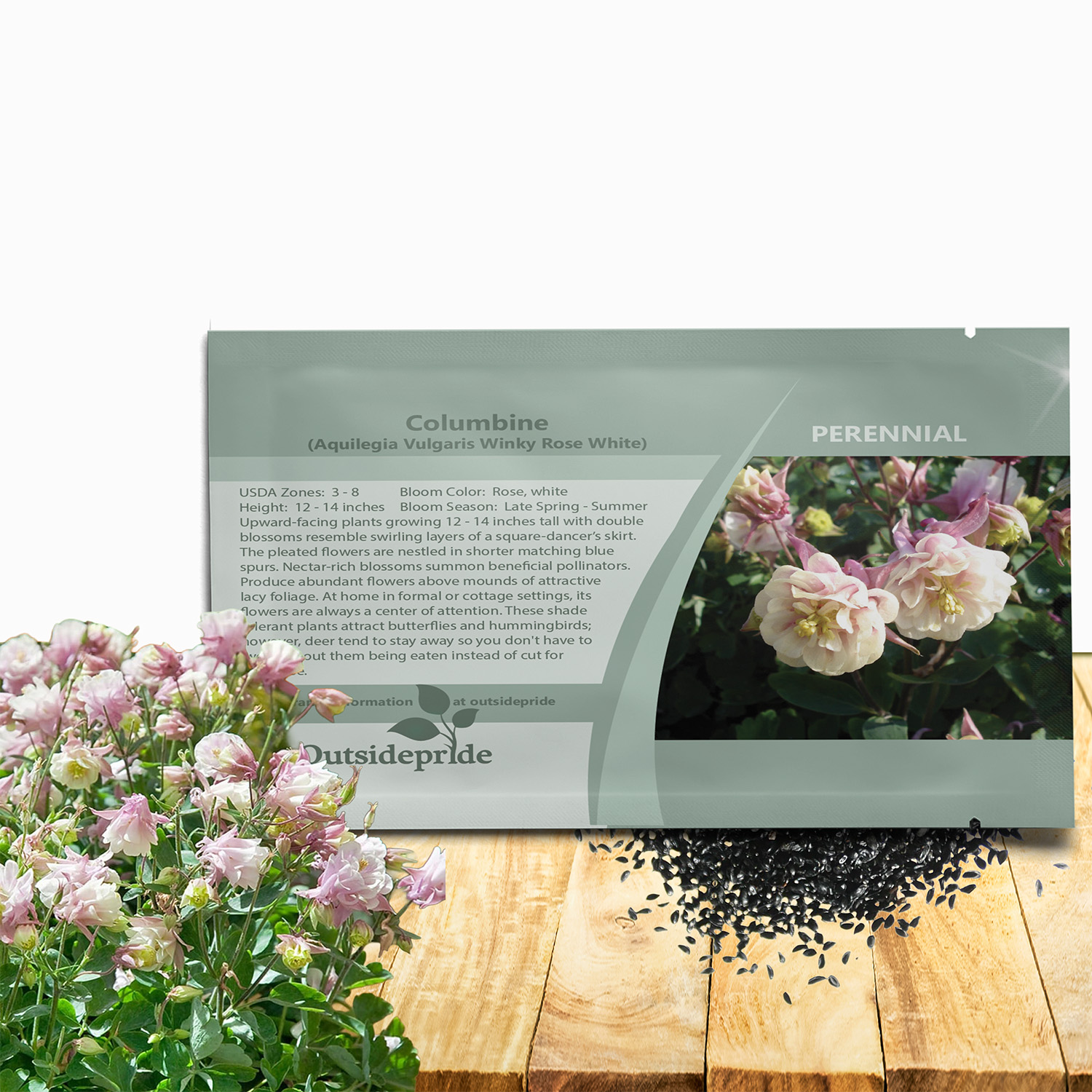 Columbine Double Rose White Seed Packet
