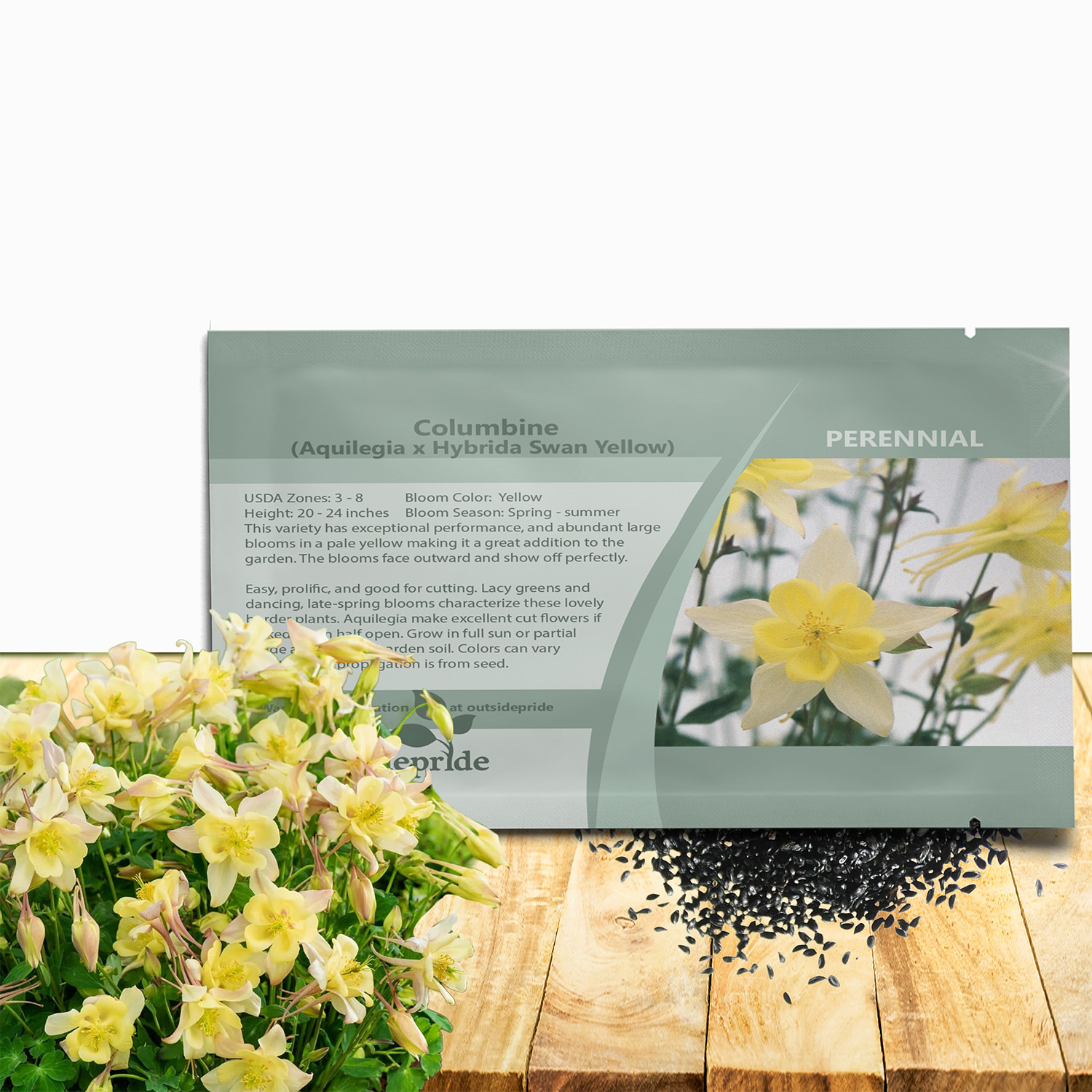 Columbine Swan Yellow Seed Packet For Planting