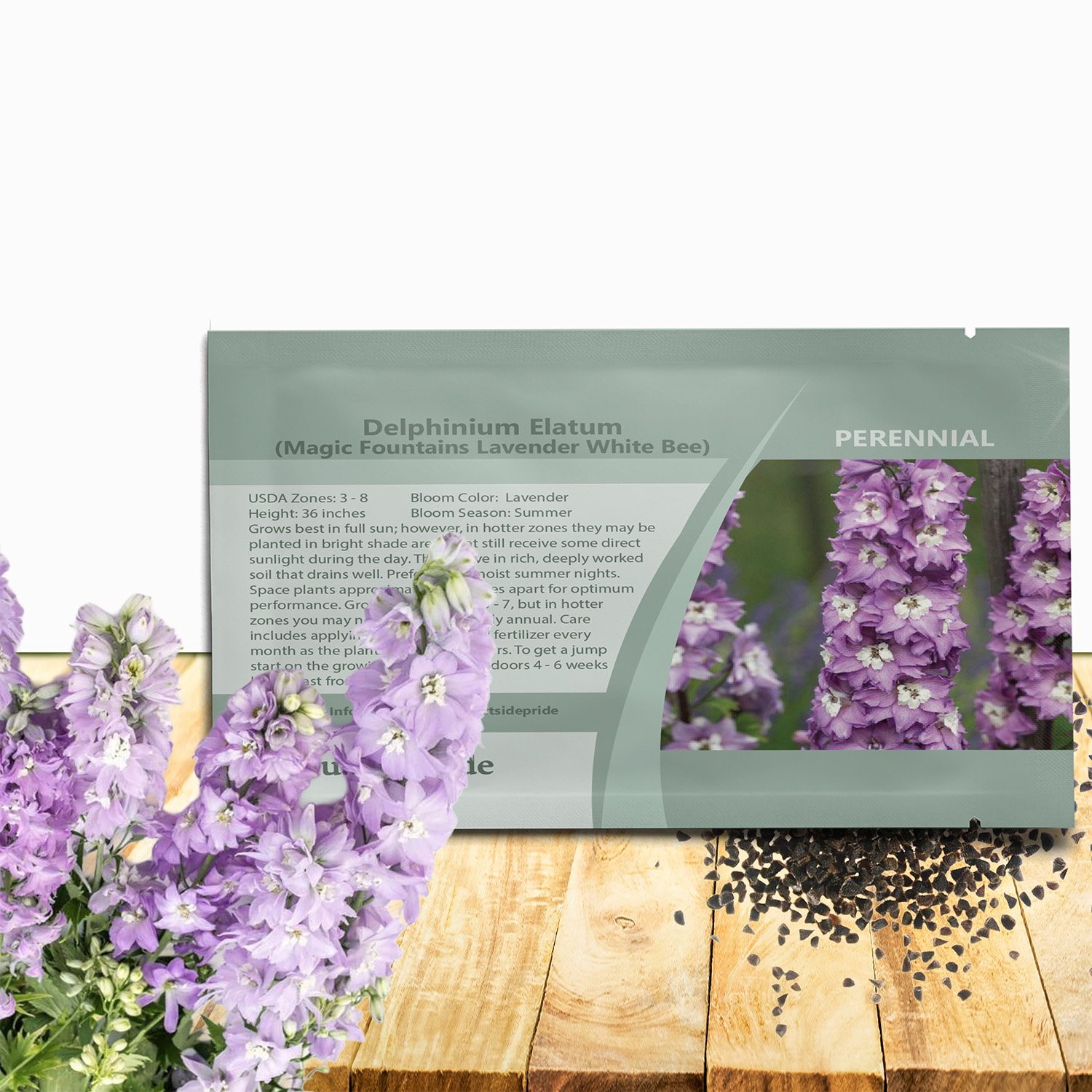 Delphinium Lavender White Bee Seed Packet