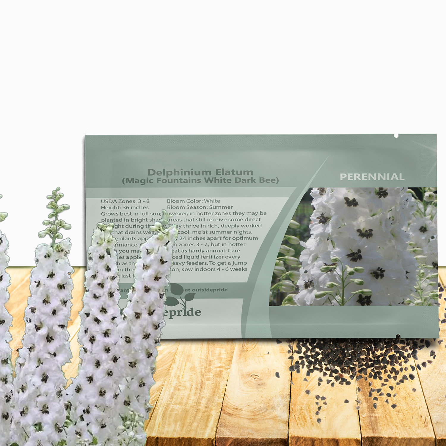 Delphinium White Dark Bee Seed Packet