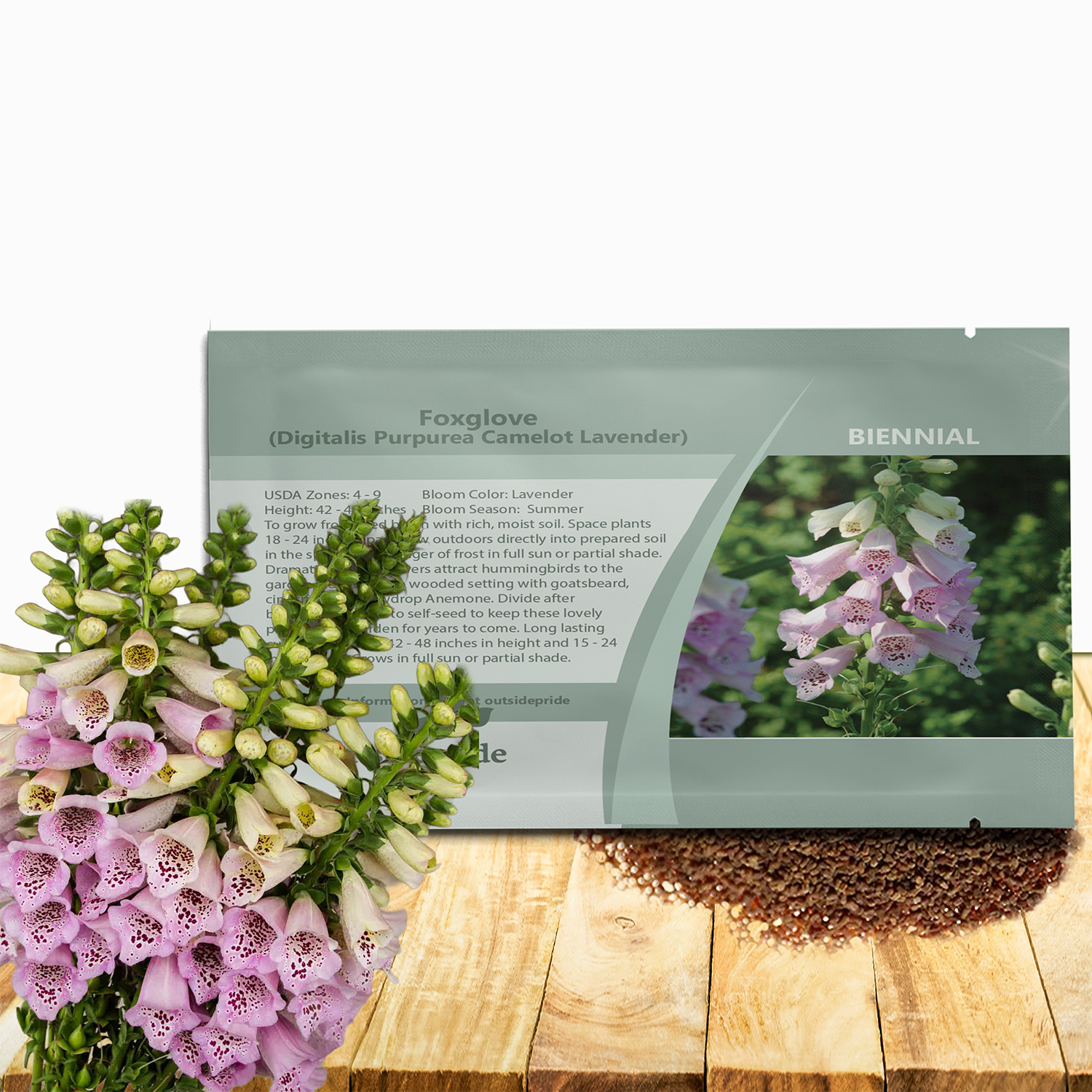 Foxglove Lavender Flower Seed Packet For Planting