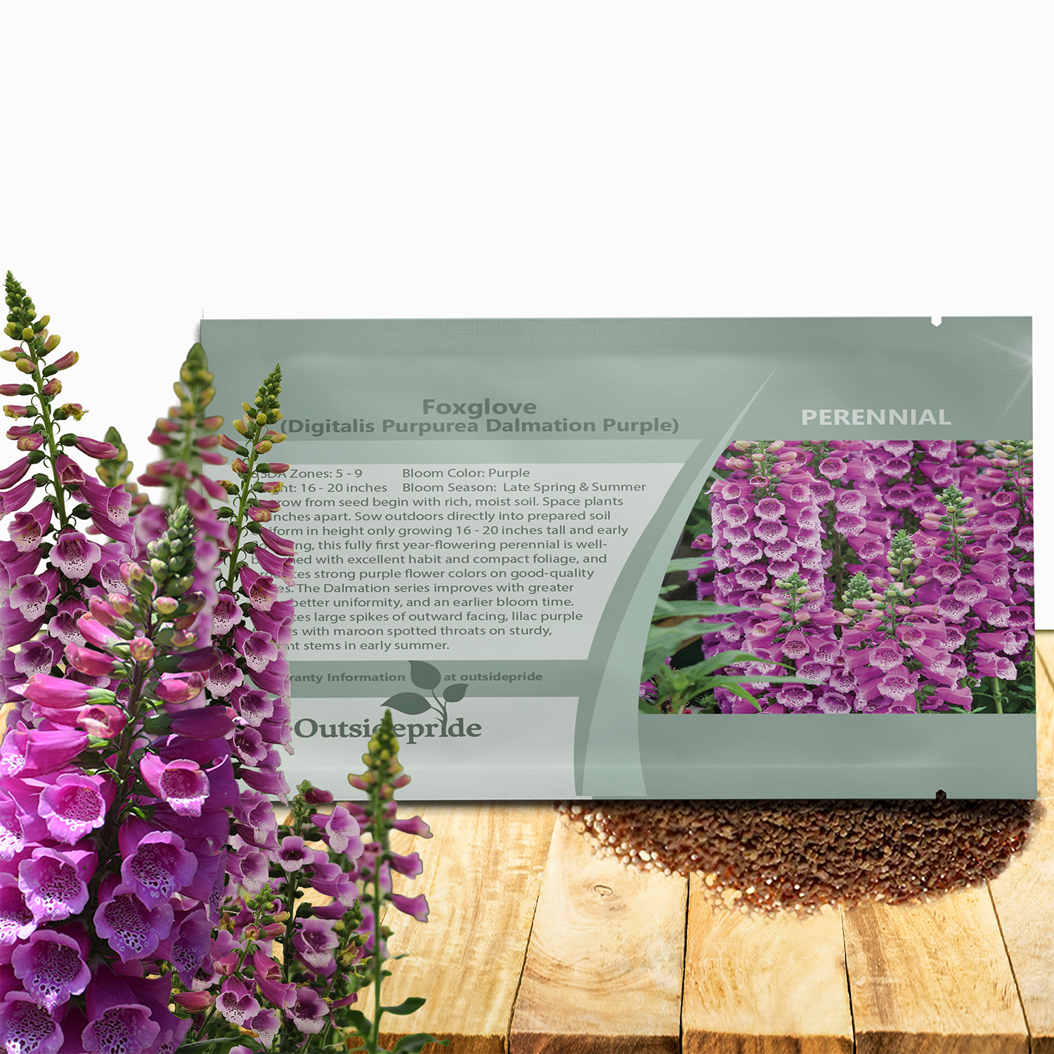 Foxglove Purple Flower Seed Packet