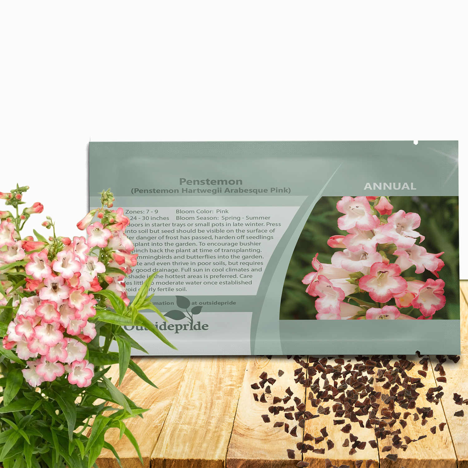 Penstemon Pink Seed Packet